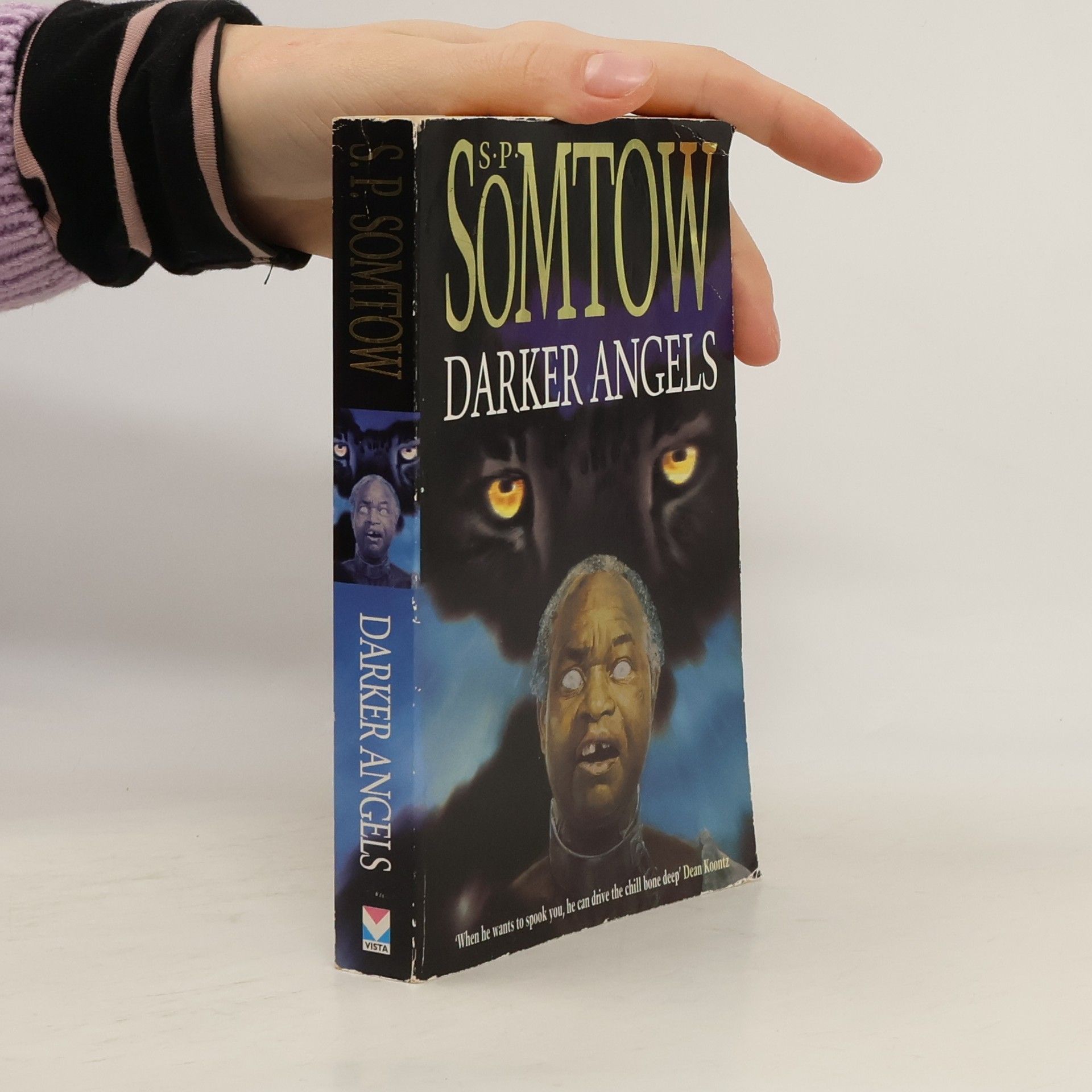 S. P. Somtow Darker Angels