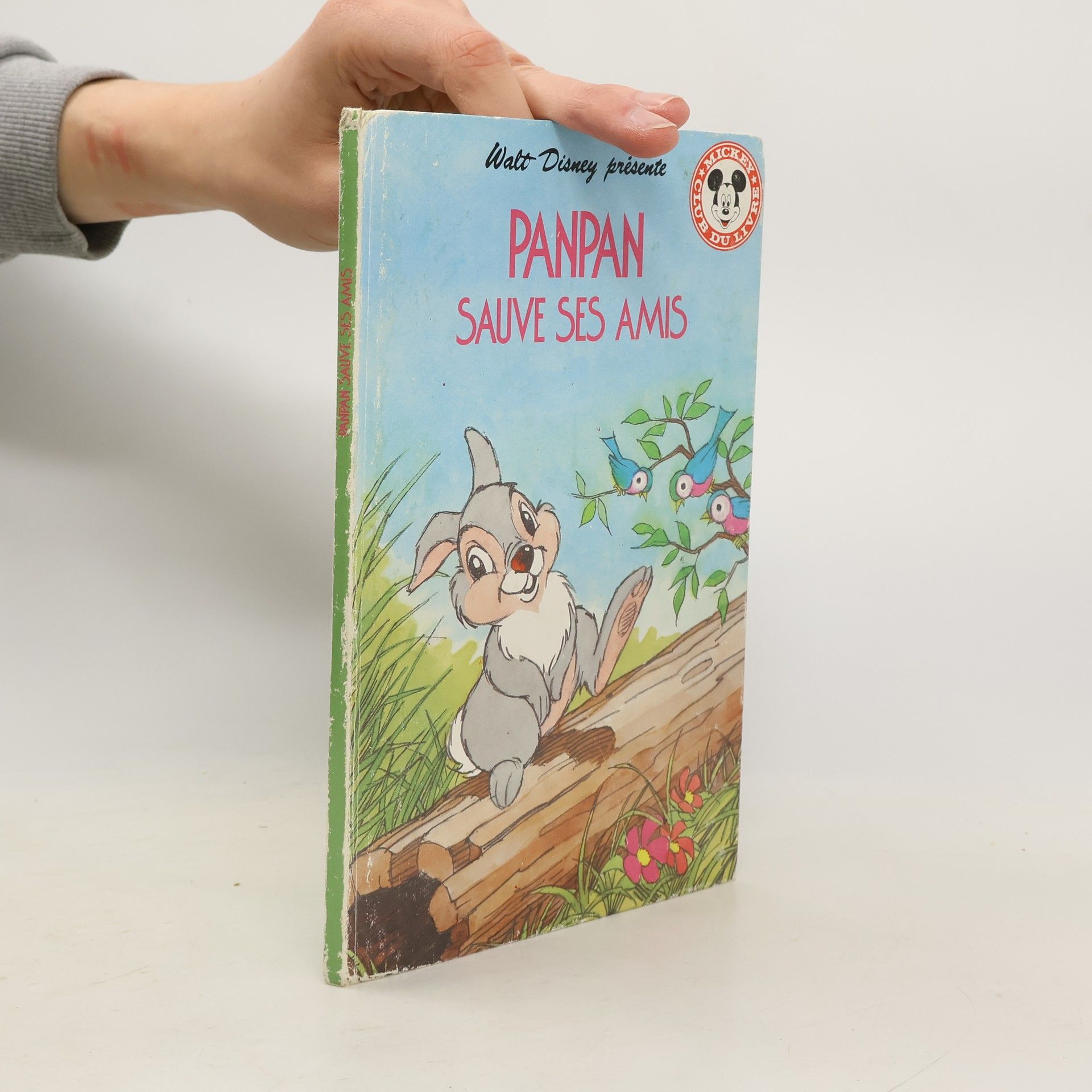 Walt Disney Panpan sauve ses amis