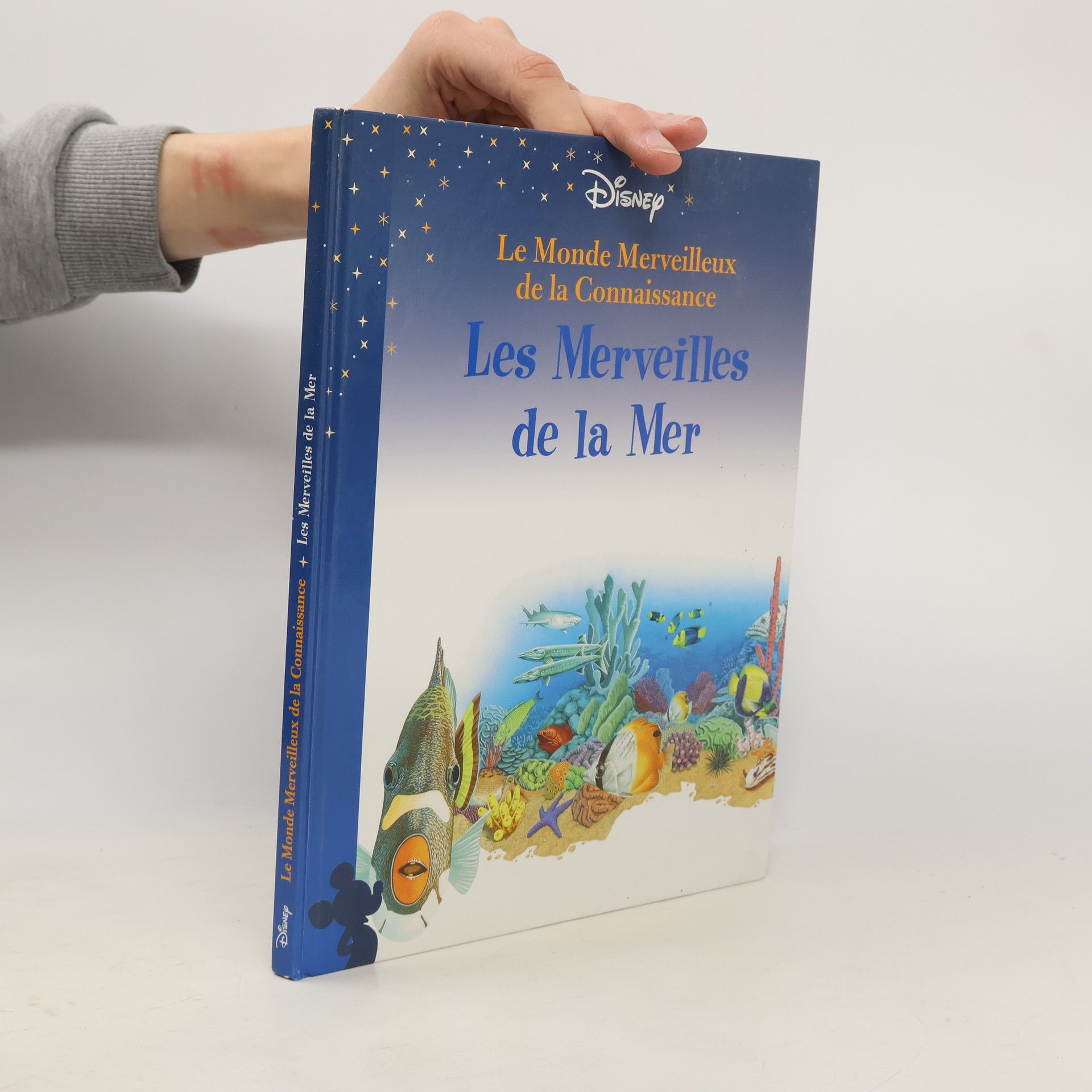 Autorenkollektiv Les Merveilles de la Mer