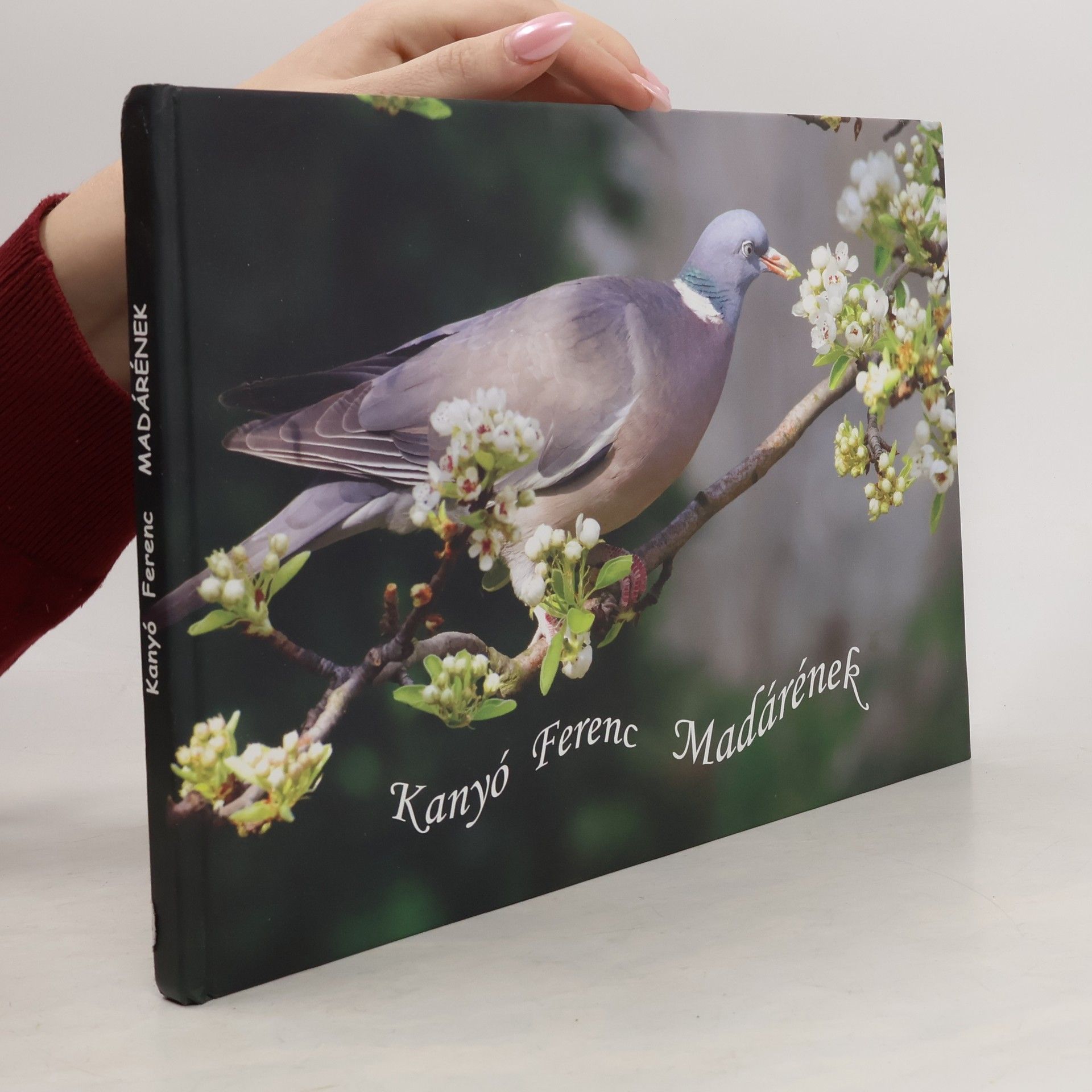 Ferenc Kanyó Madárének