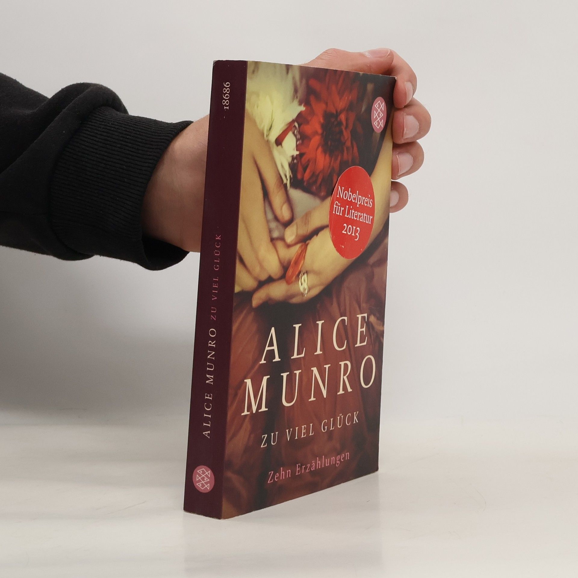 Alice Munro Zu viel Glück. zehn erzählungen