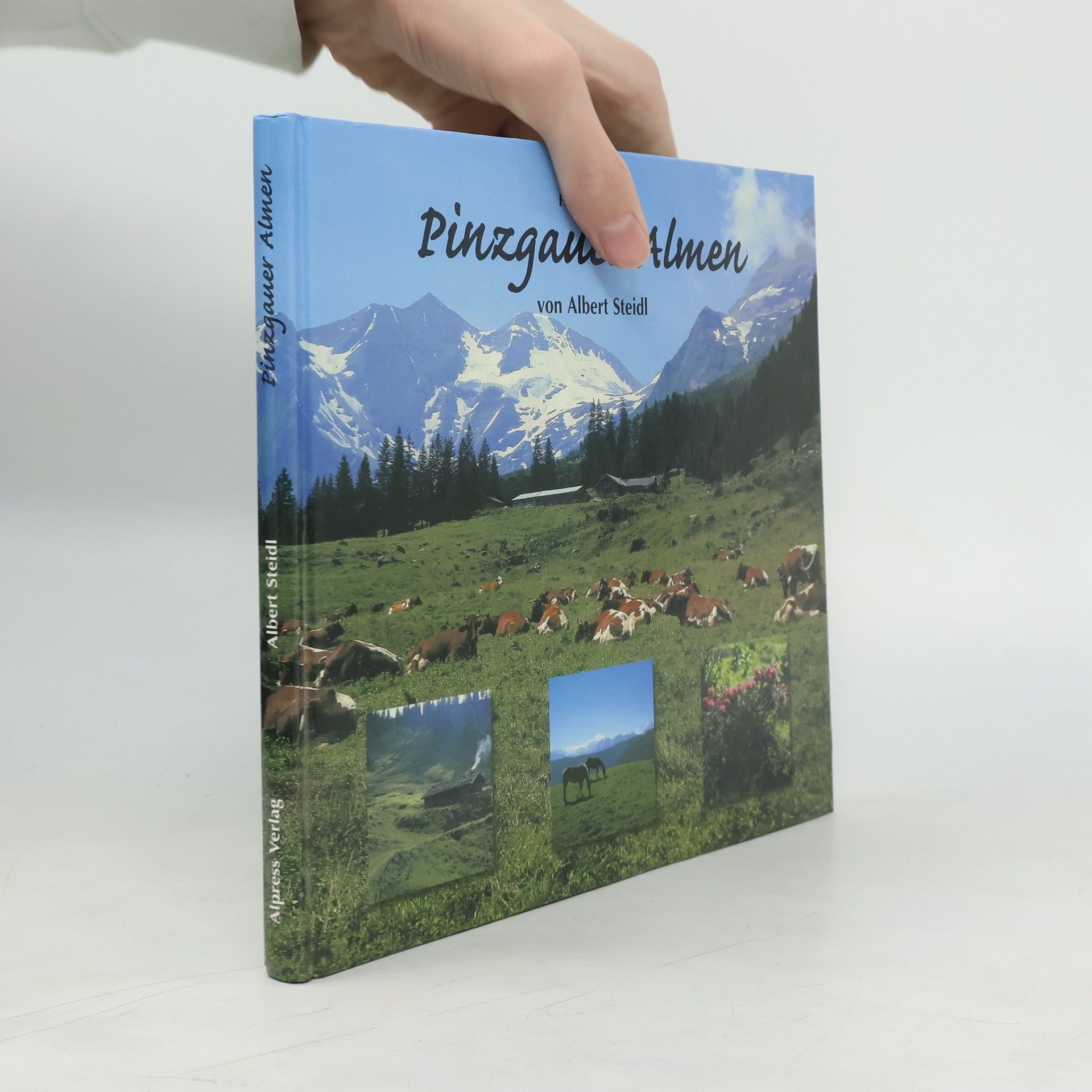 Albert Steidl Pinzgauer Almen