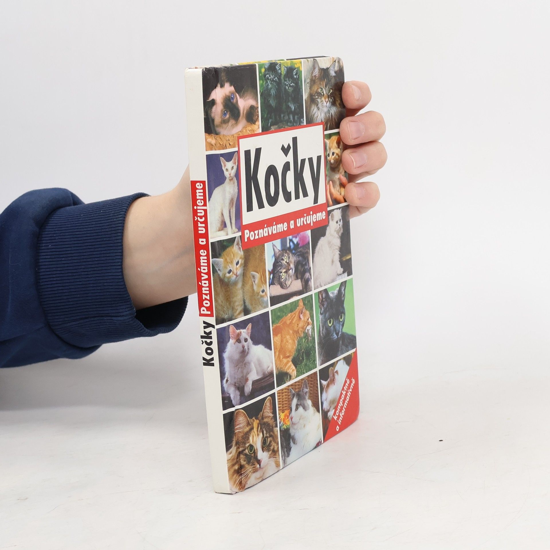 Kočky: Poznáváme a určujeme