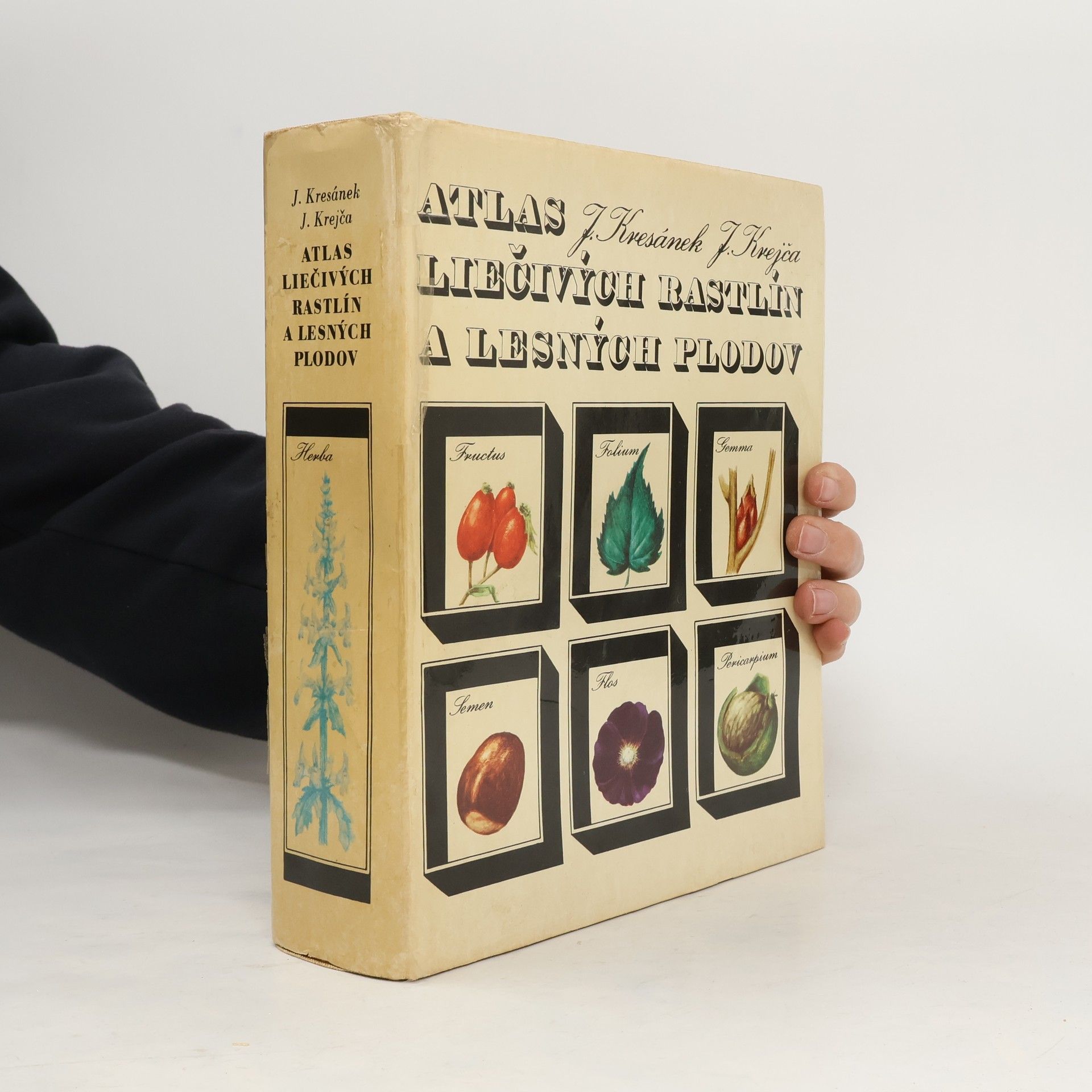 Atlas liečivých rastlín a lesných plodov