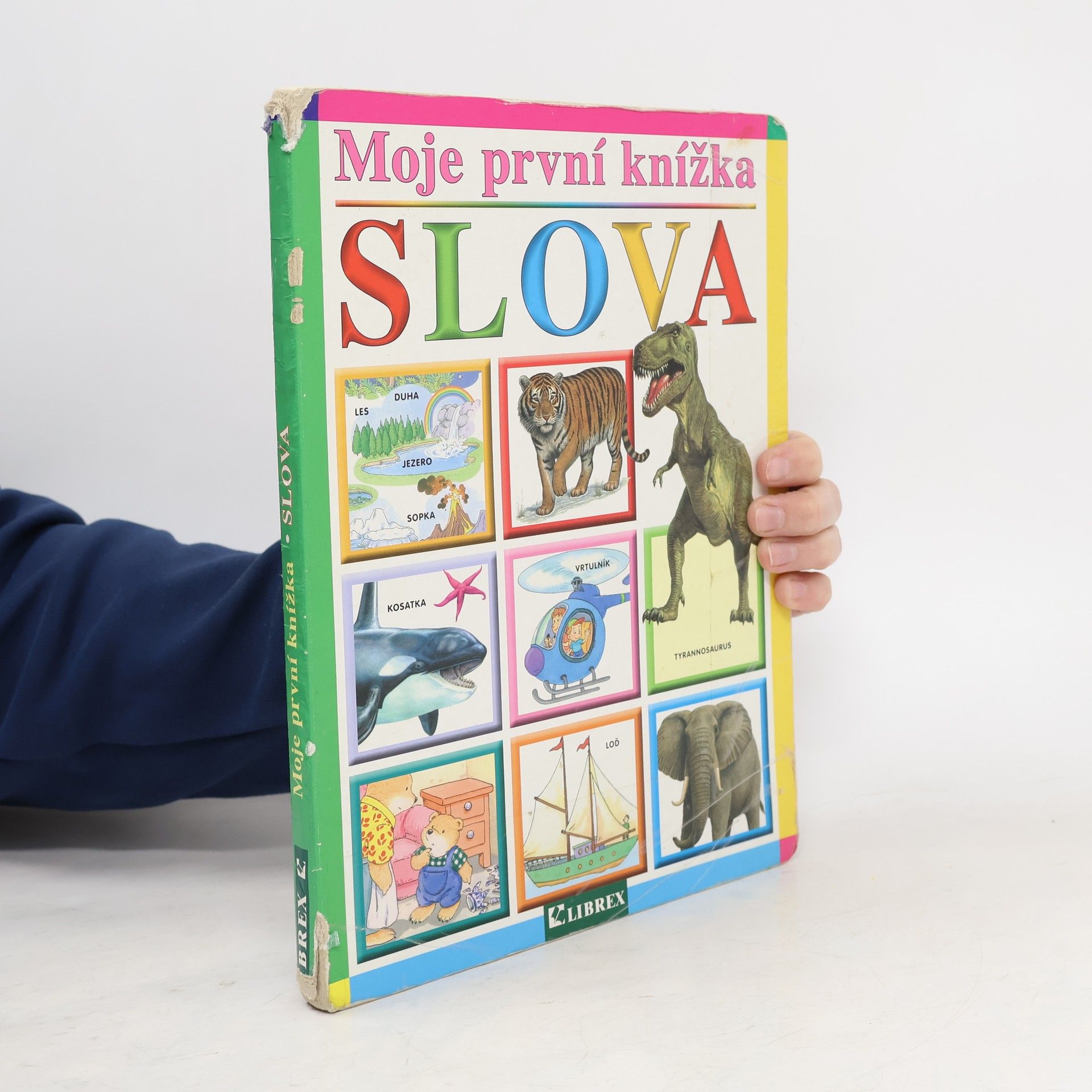 Auteurscollectief Moje první knížka: První slova