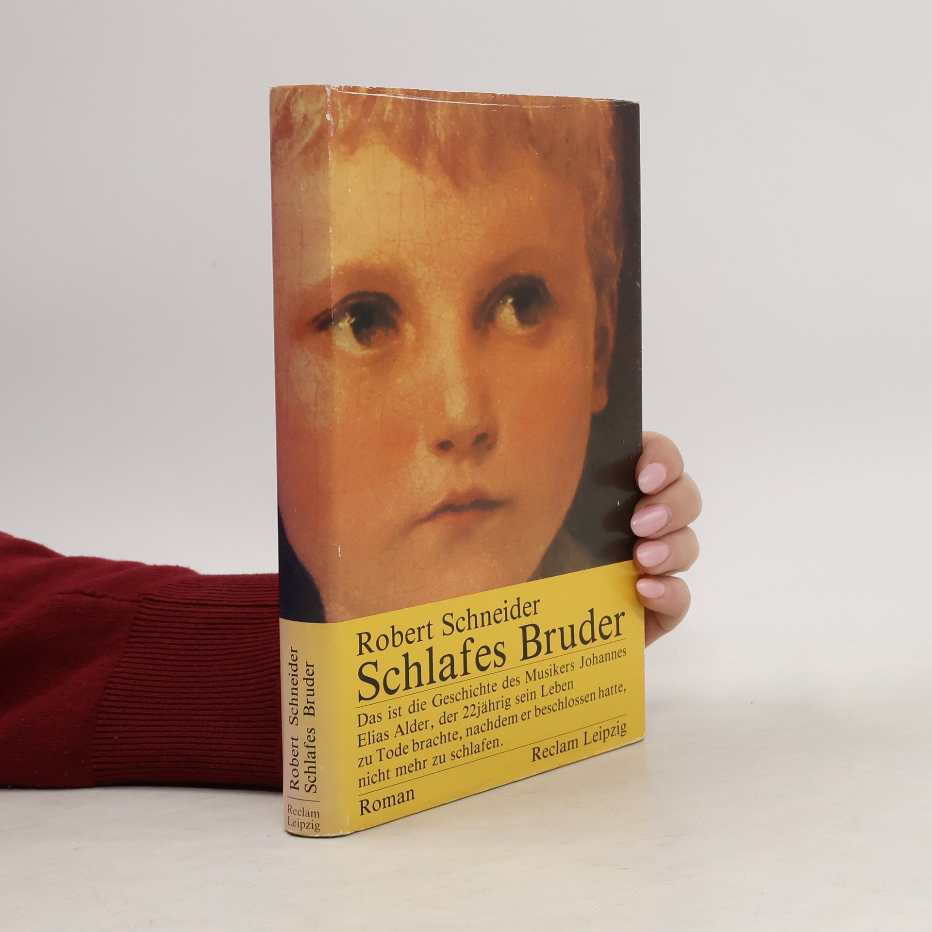 Robert Schneider Schlafes Bruder