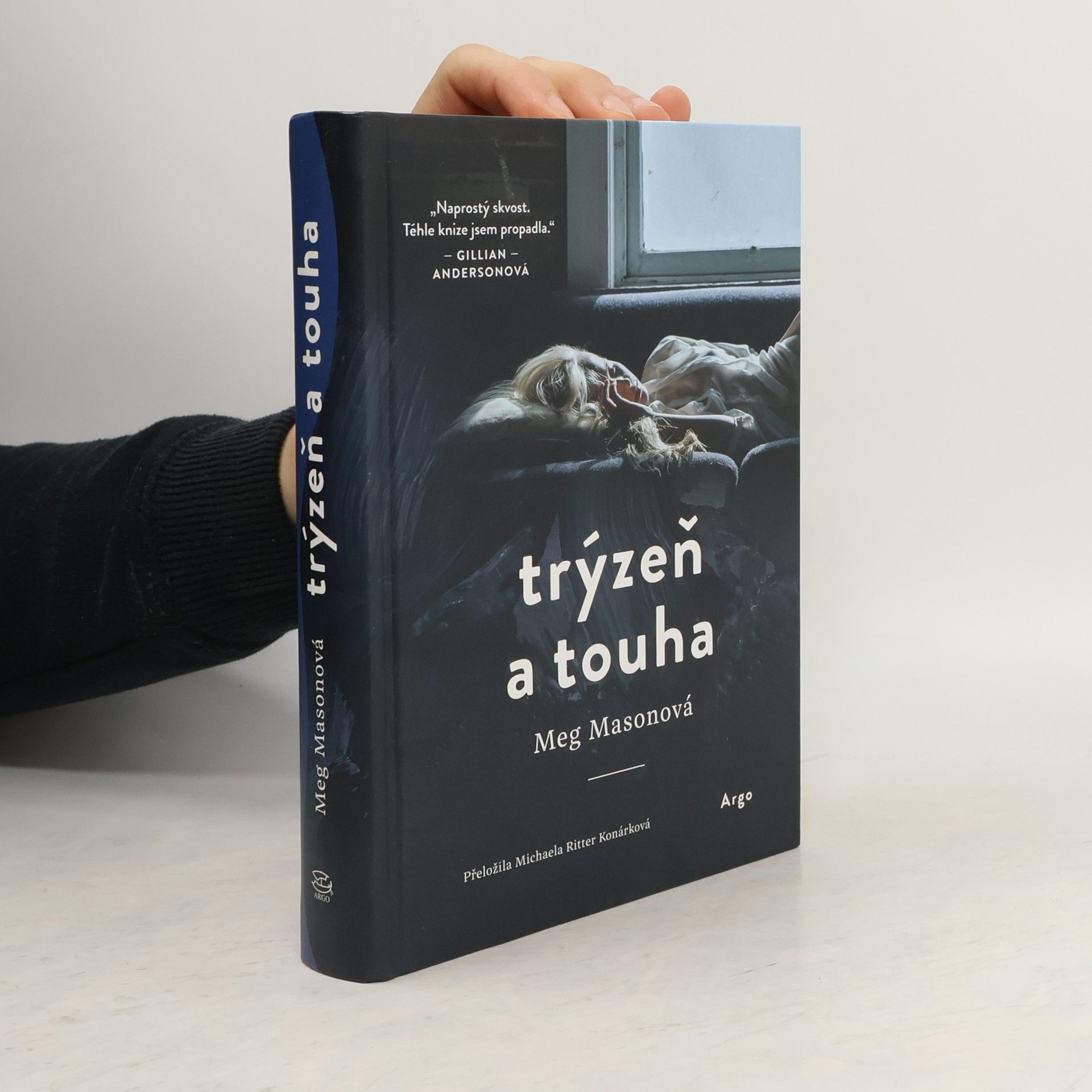 Meg Mason Trýzeň a touha