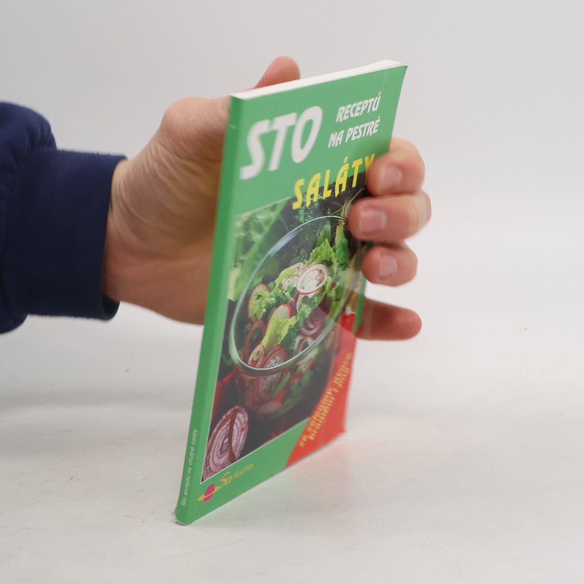 Sto receptů na pestré saláty