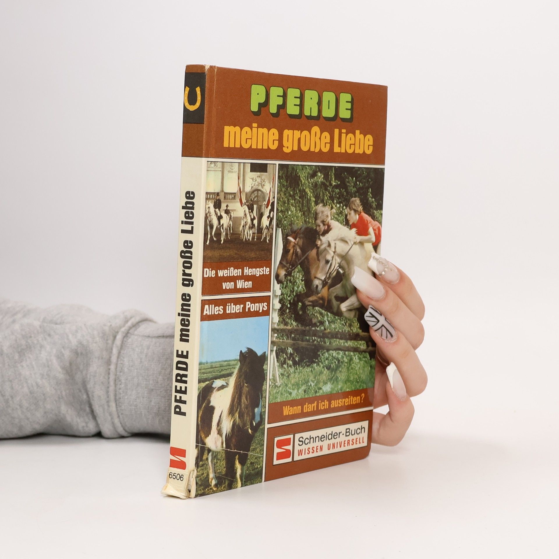 Pferde. Meine große Liebe