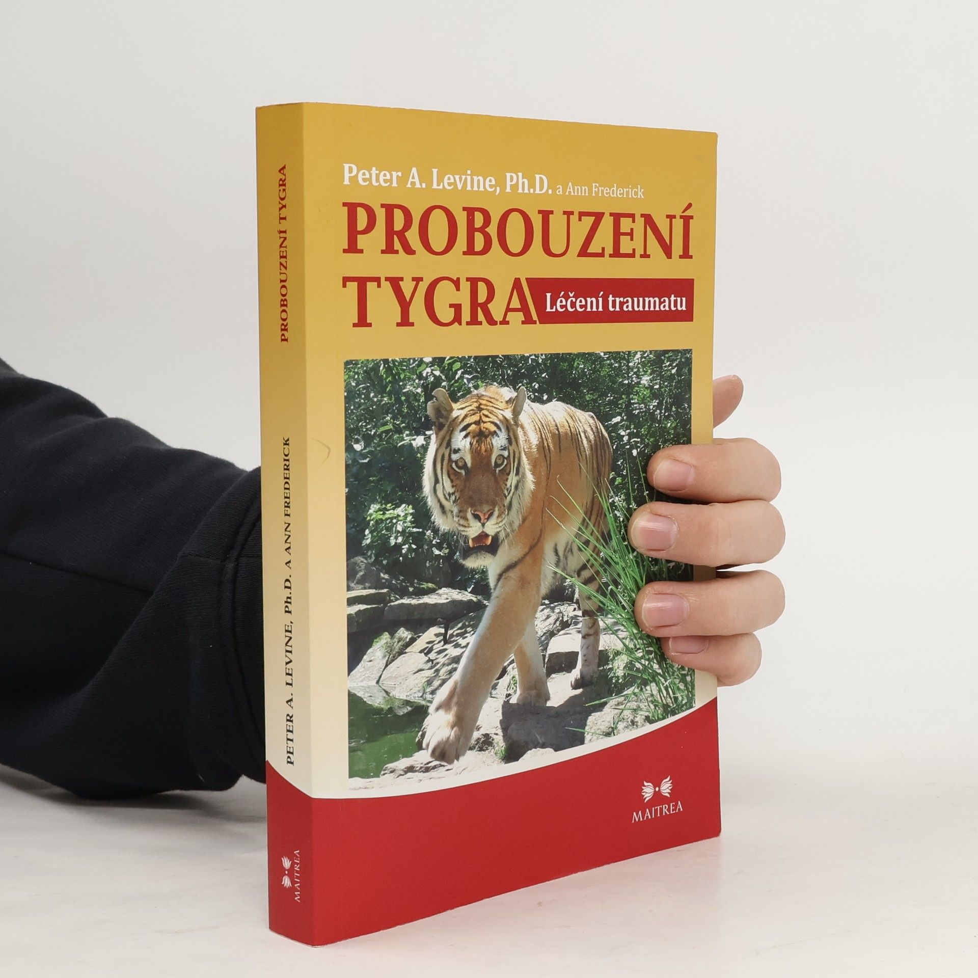 Probouzení tygra. Léčení traumatu