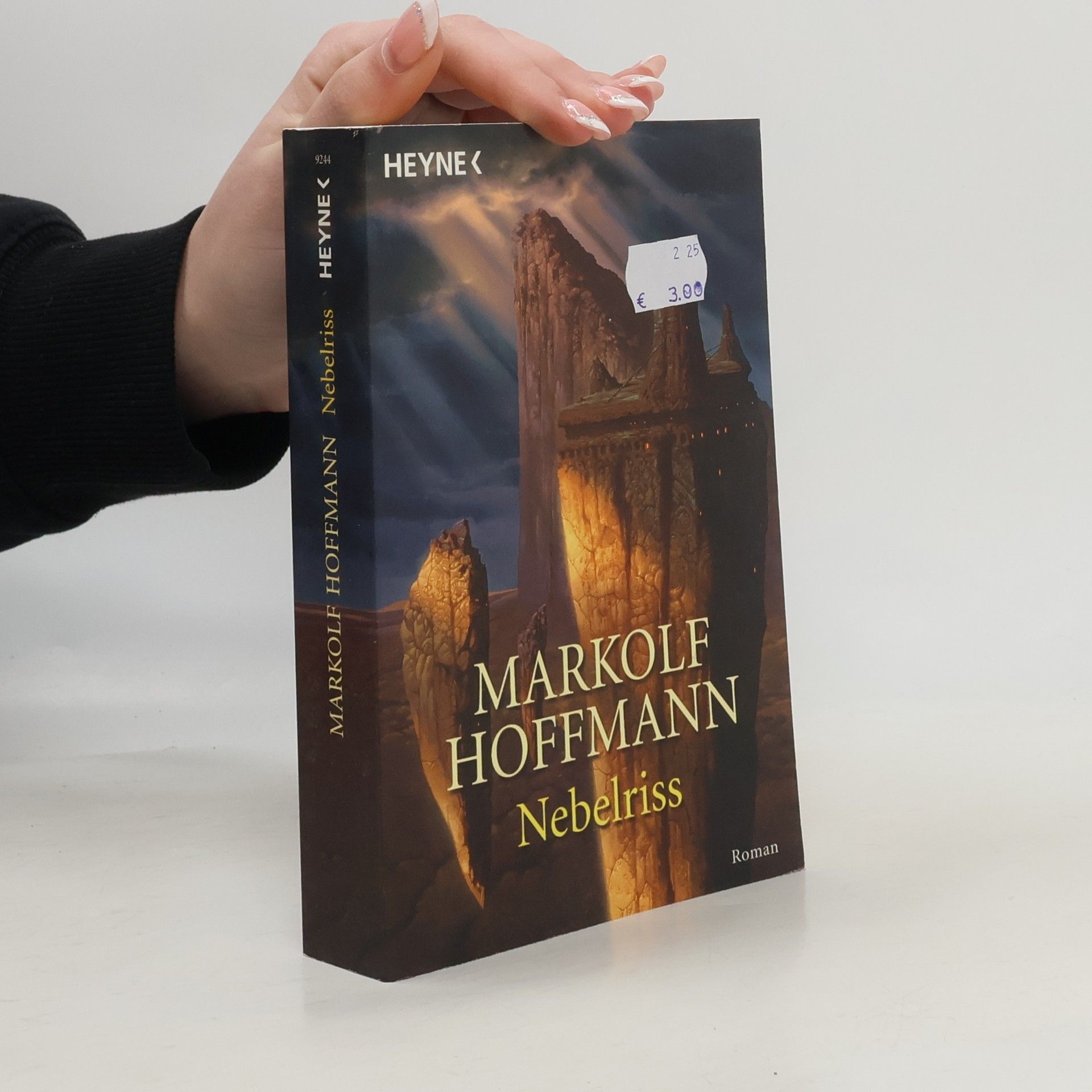 Markolf Hoffmann Nebelriss