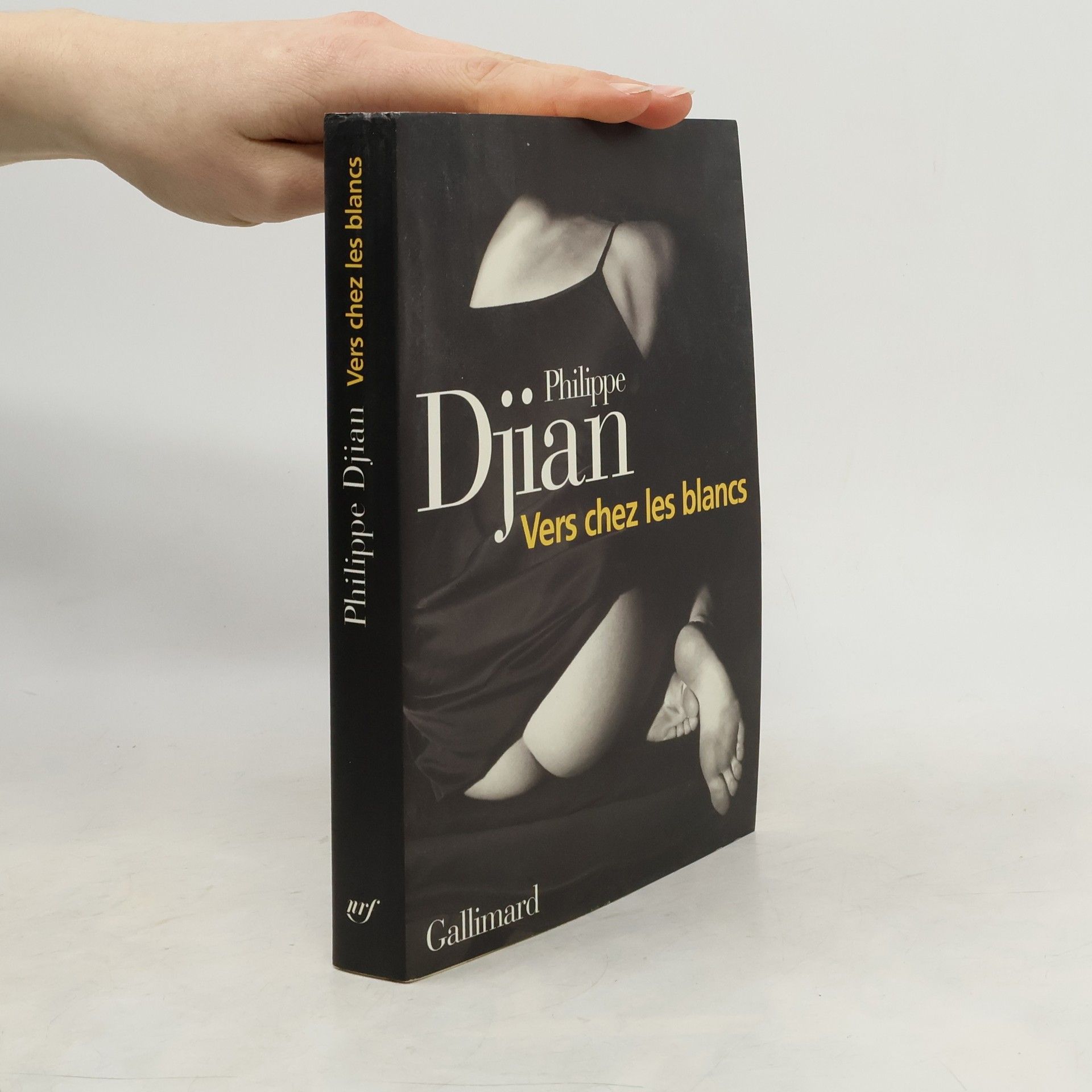 Phillippe Djian Vers chez les blancs