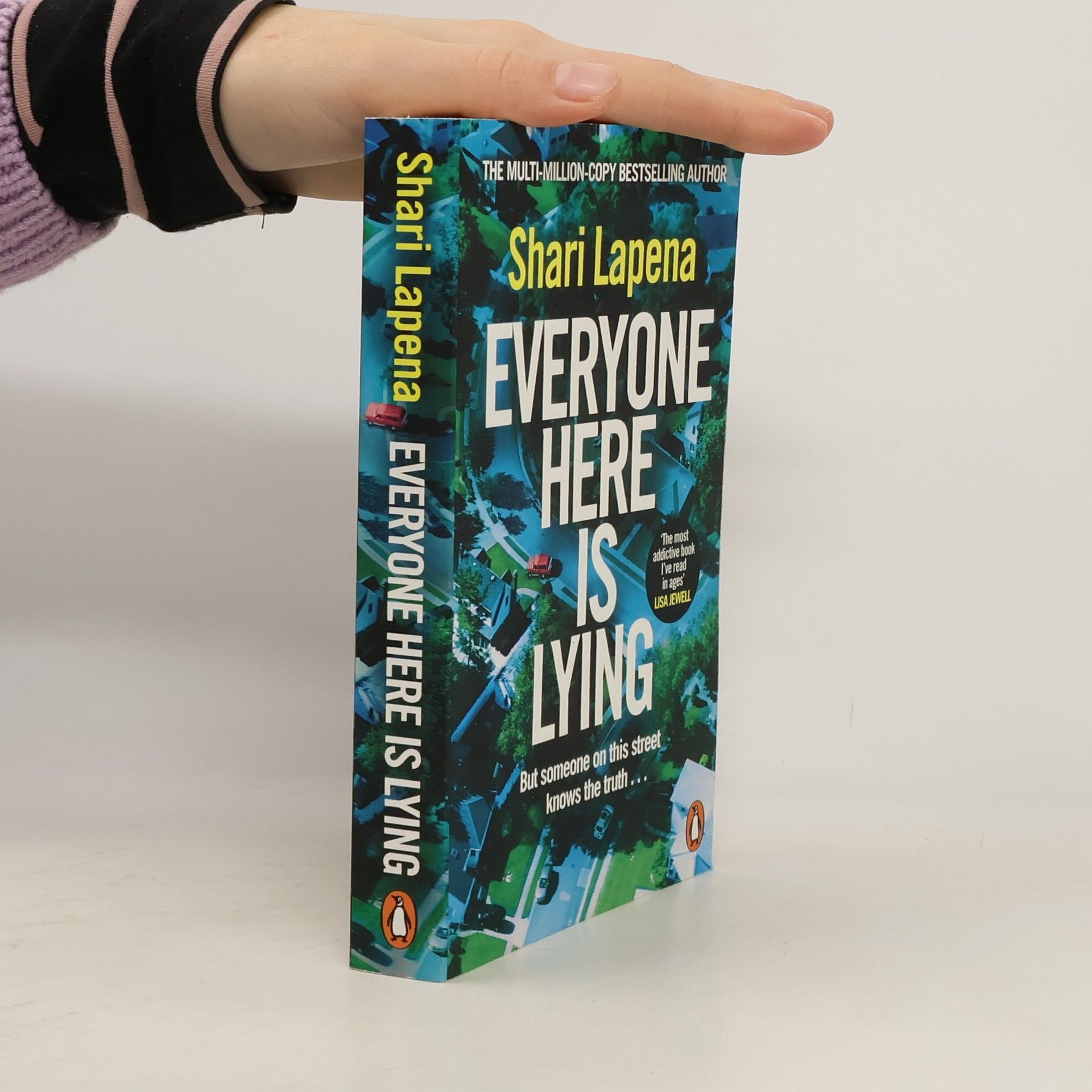 Everyone Here Is Lying