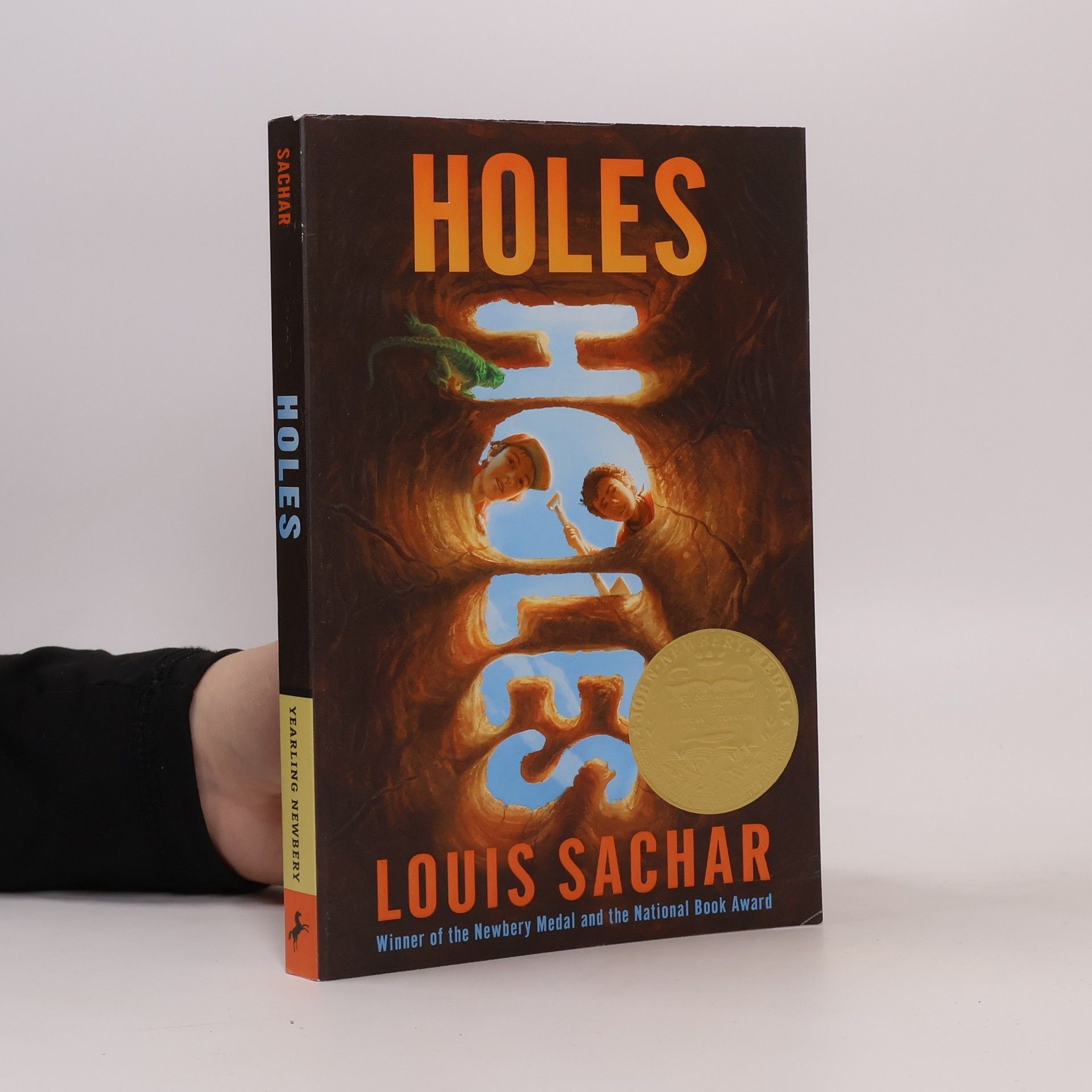 Louis Sachar Holes