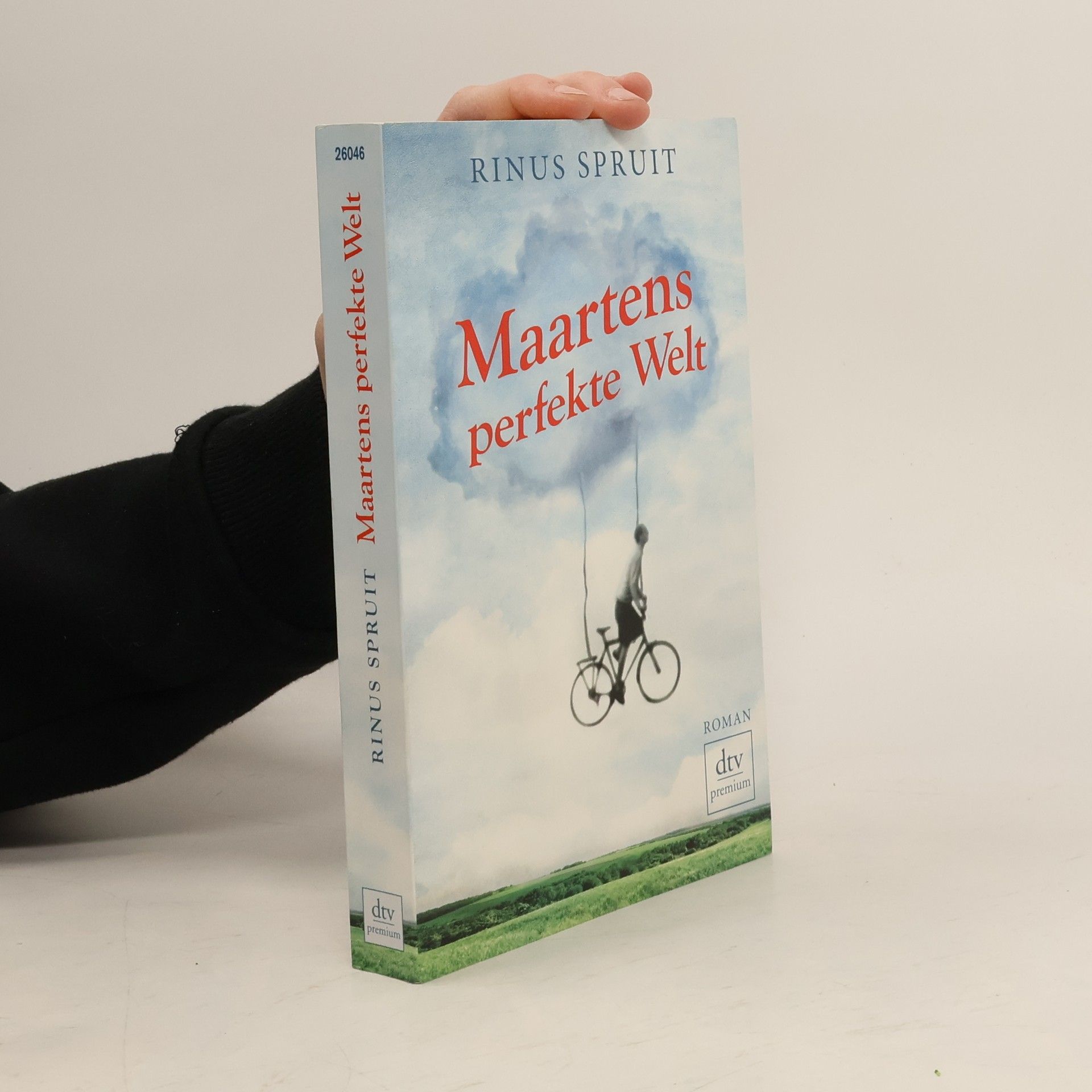 Maartens perfekte Welt