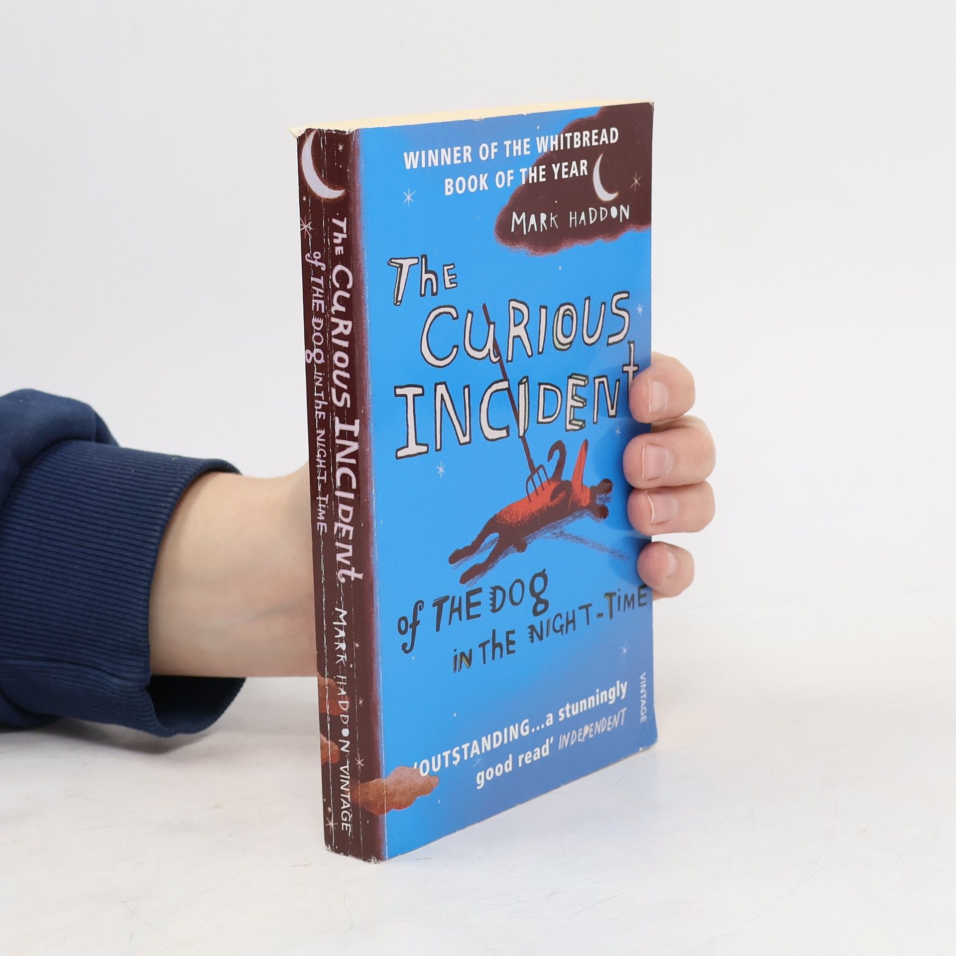 Mark Haddon The Curious Incident of The Dog in The Night-Time