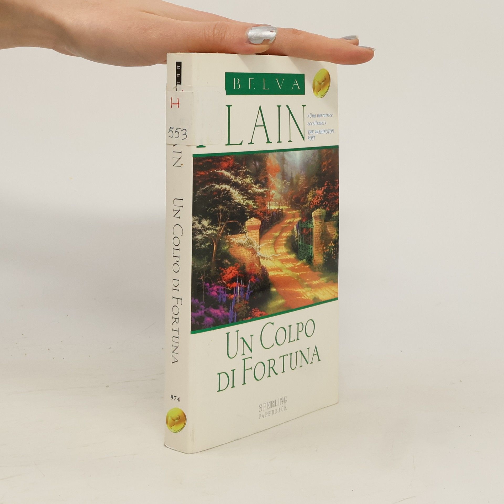 Belva Plain Un colpo di fortuna