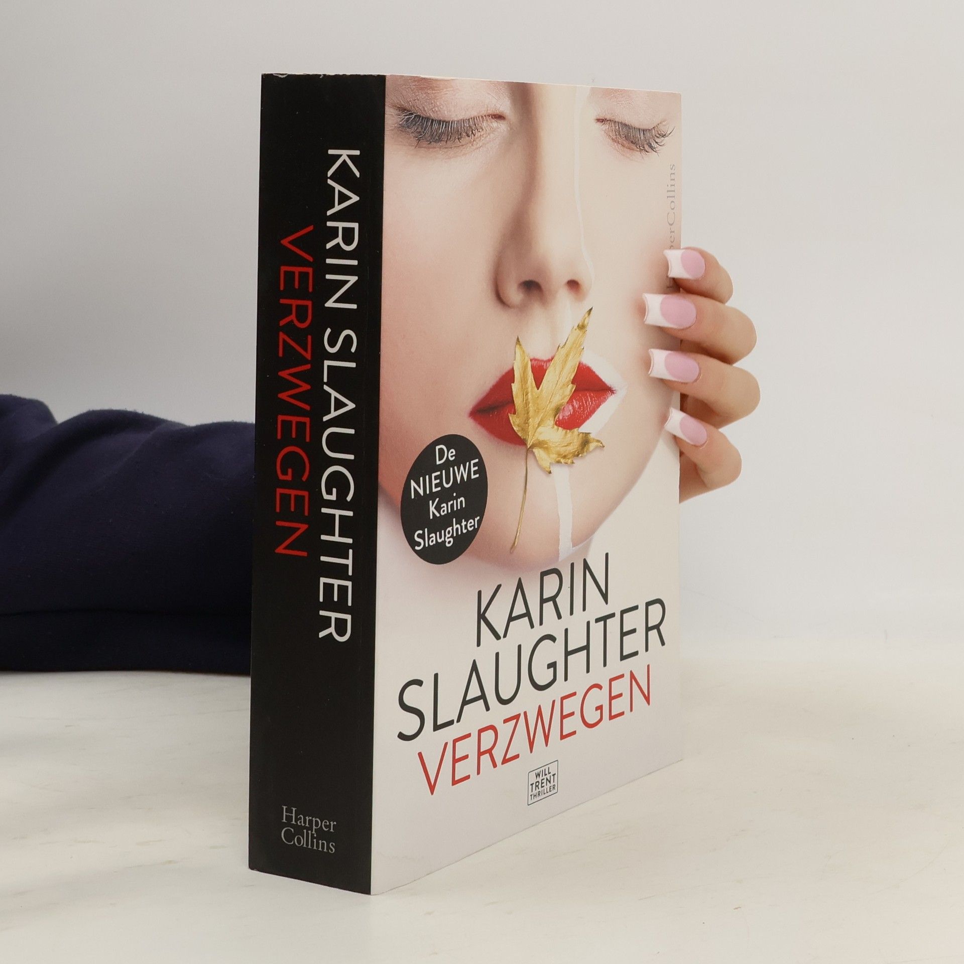 Will Trent: Verzwegen