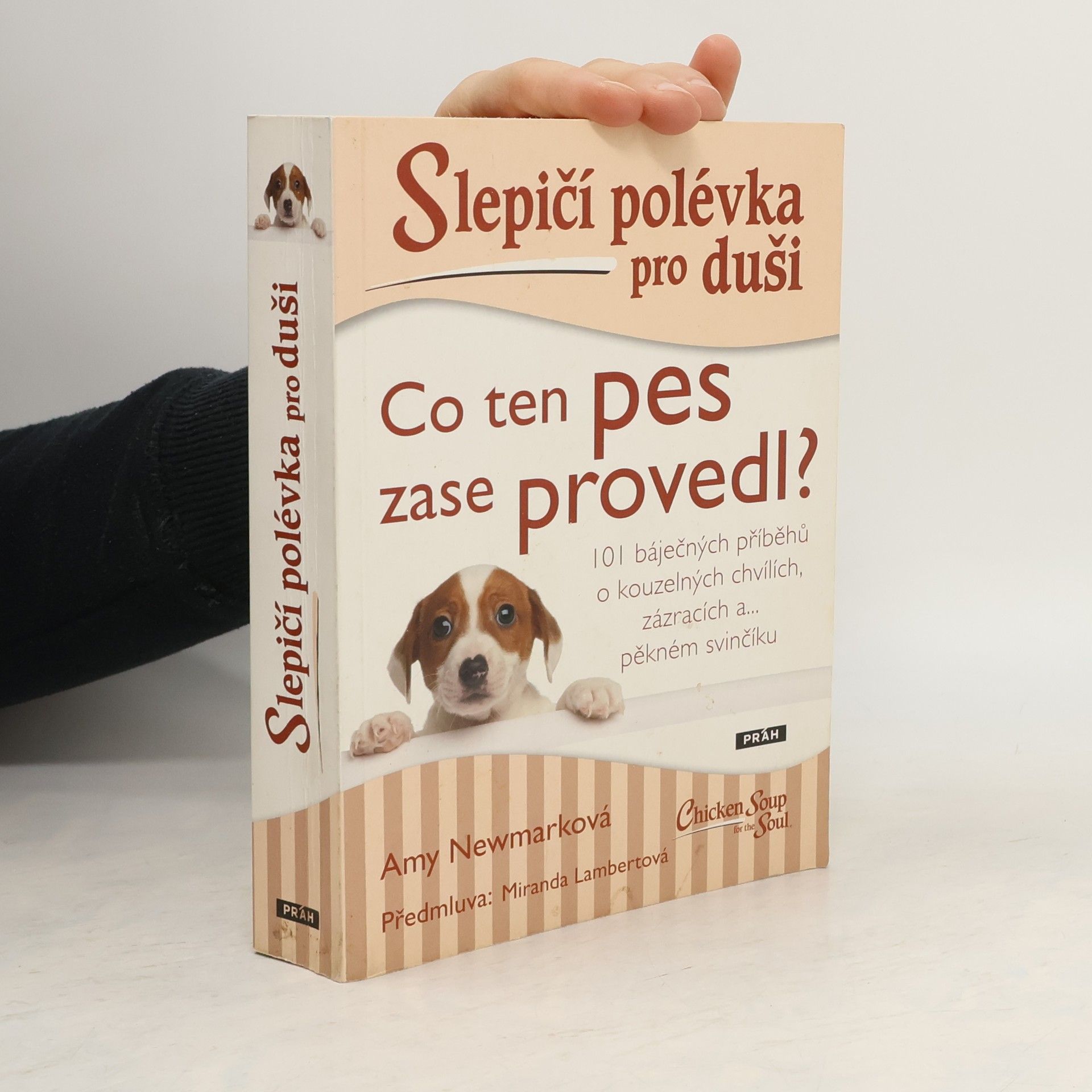 Slepičí polévka pro duši. Co ten pes zase provedl?