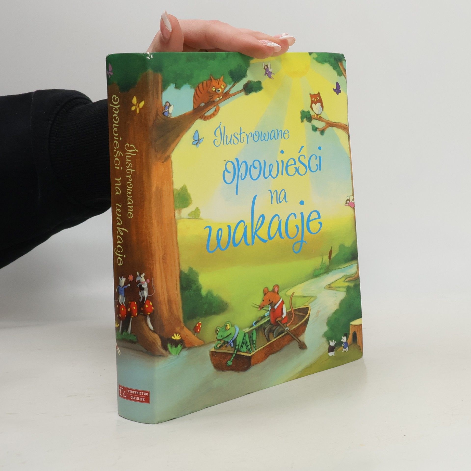 Kolektív autorov Ilustrowane opowieści na wakacje
