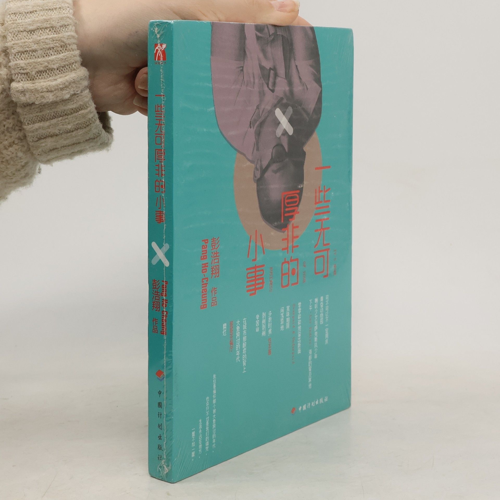 Pang Ho-Cheung 一些无可厚非的小事