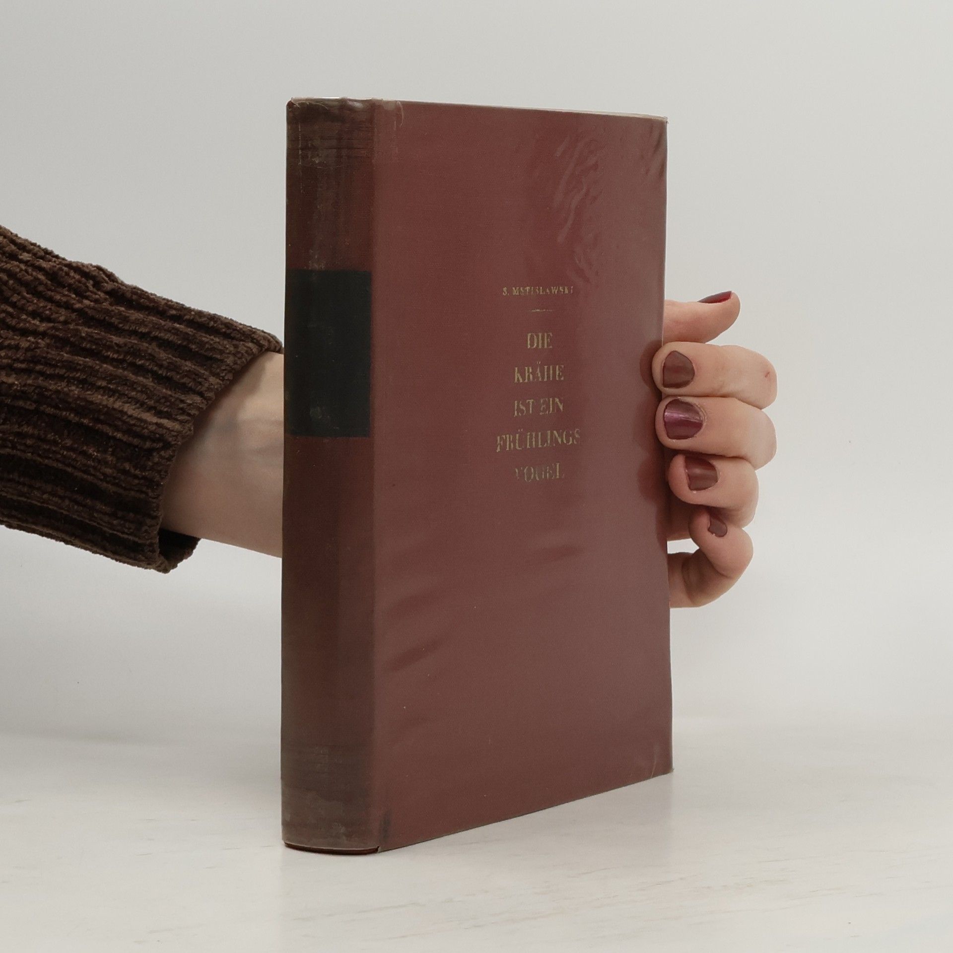 Sergej D. Maslovskij-Mstislavskij Die Krähe ist ein Frühlingsvogel