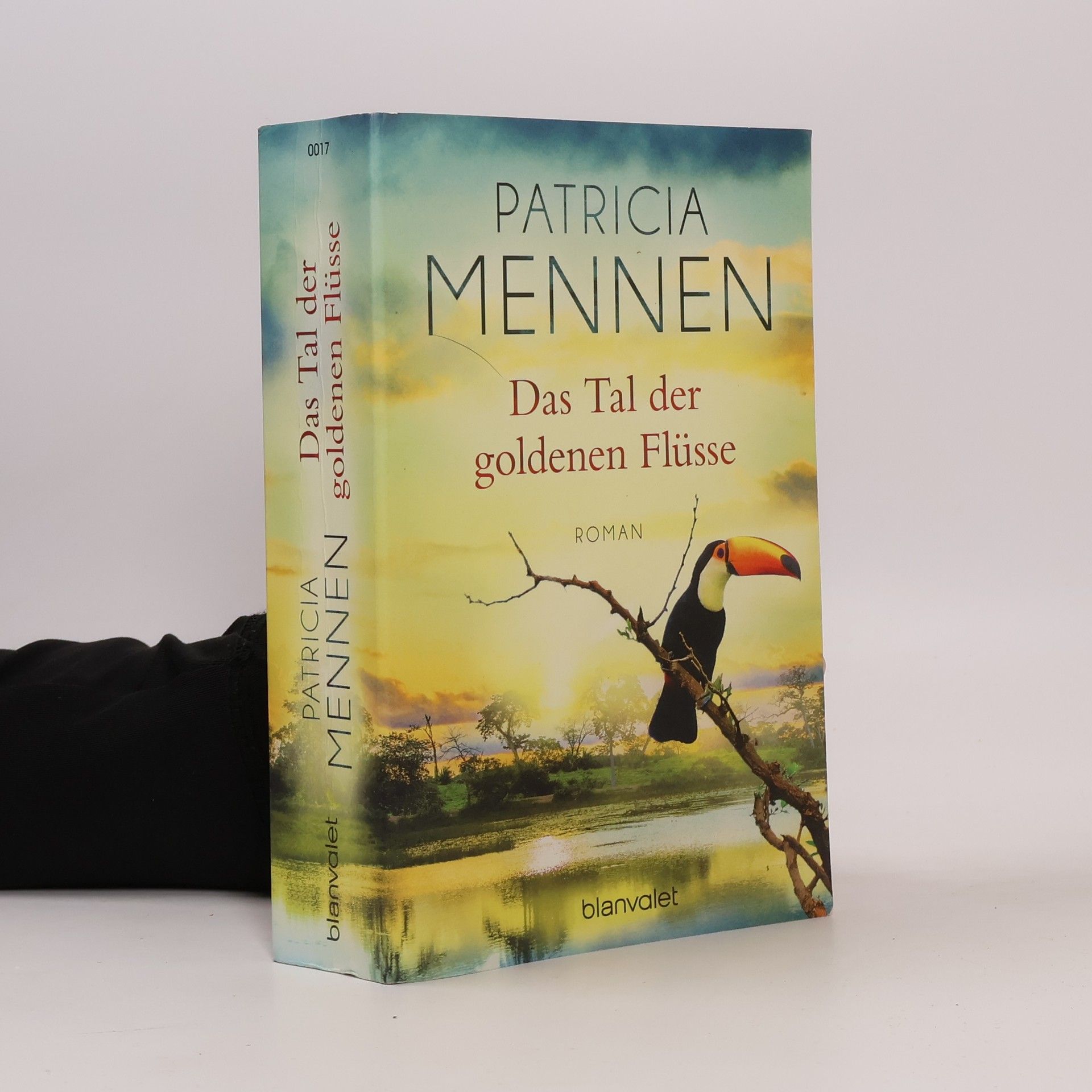 Patricia Mennen Das Tal der goldenen Flüsse