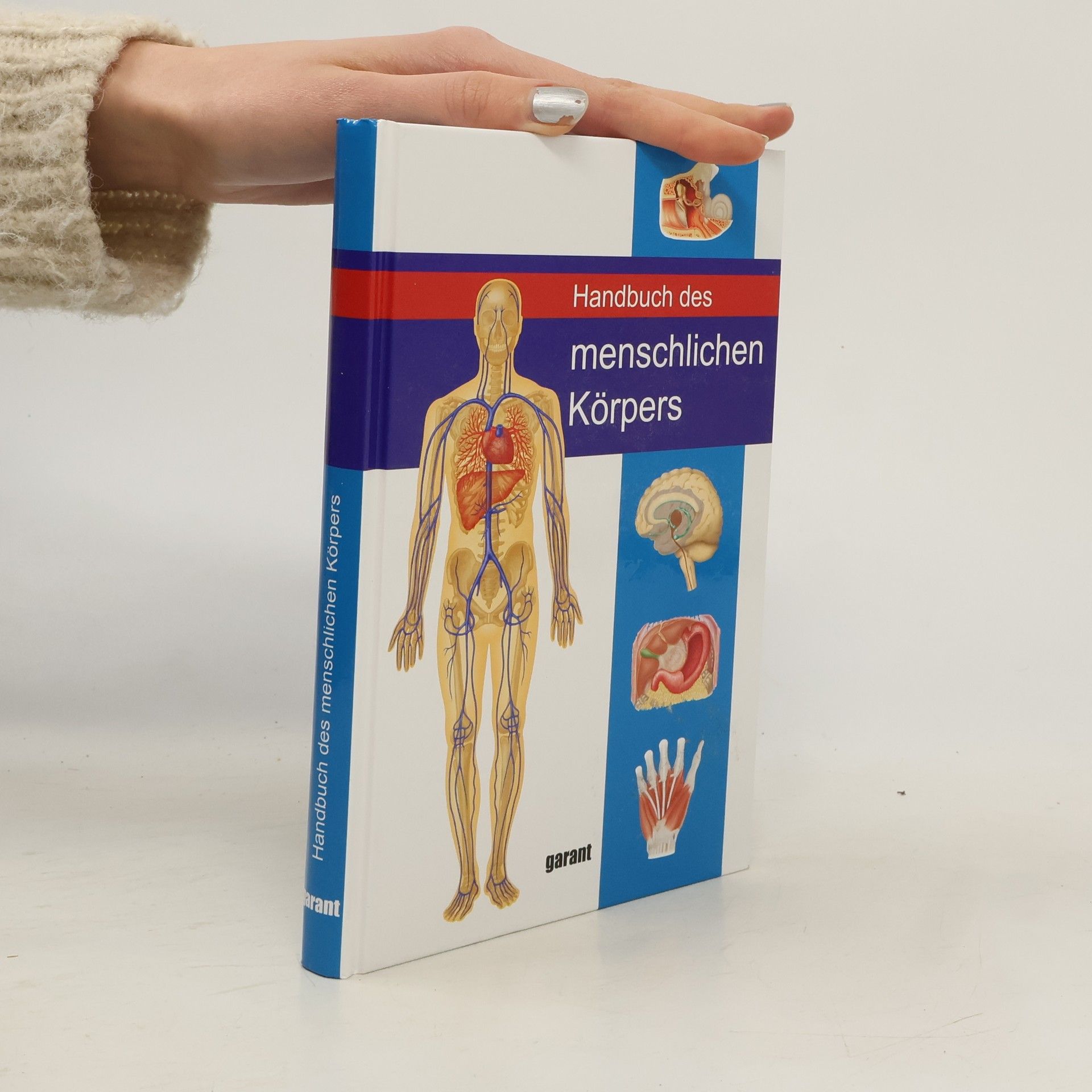 Abrahams Peter Handbuch des Menschlichen Körpers