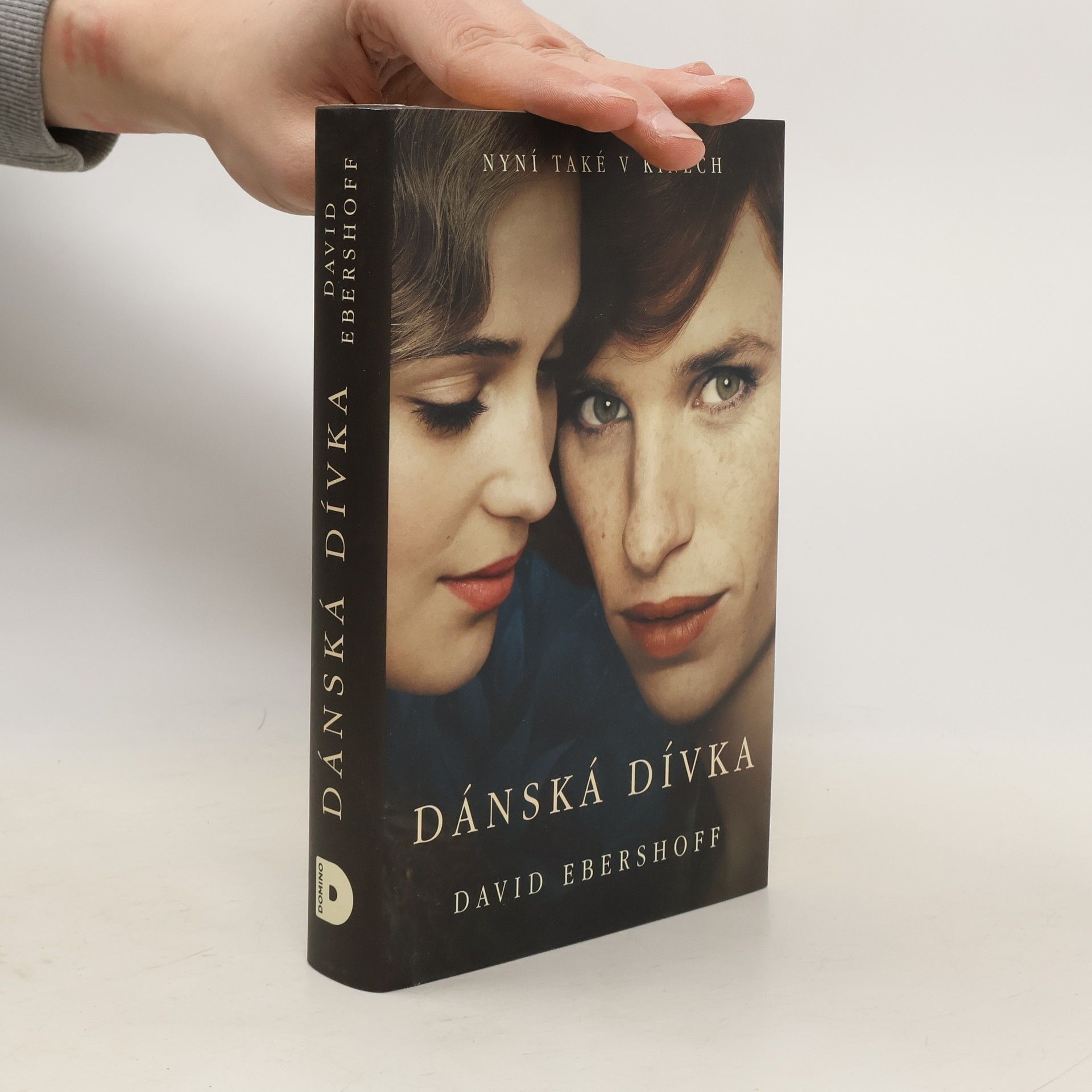 David Ebershoff Dánská dívka