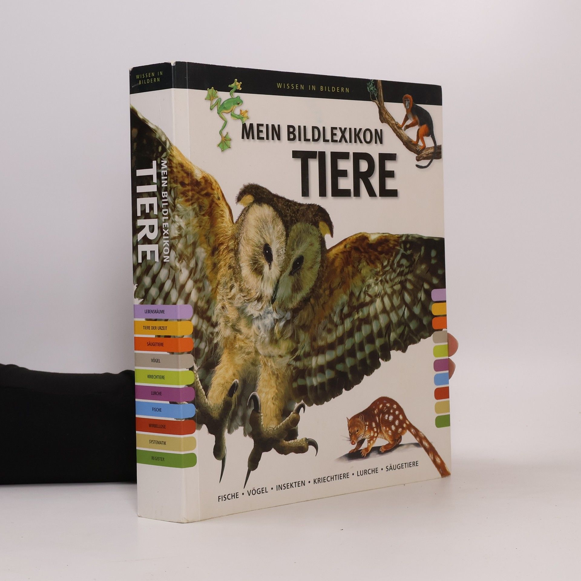 Autorenkollektiv Mein Bildlexikon Tiere