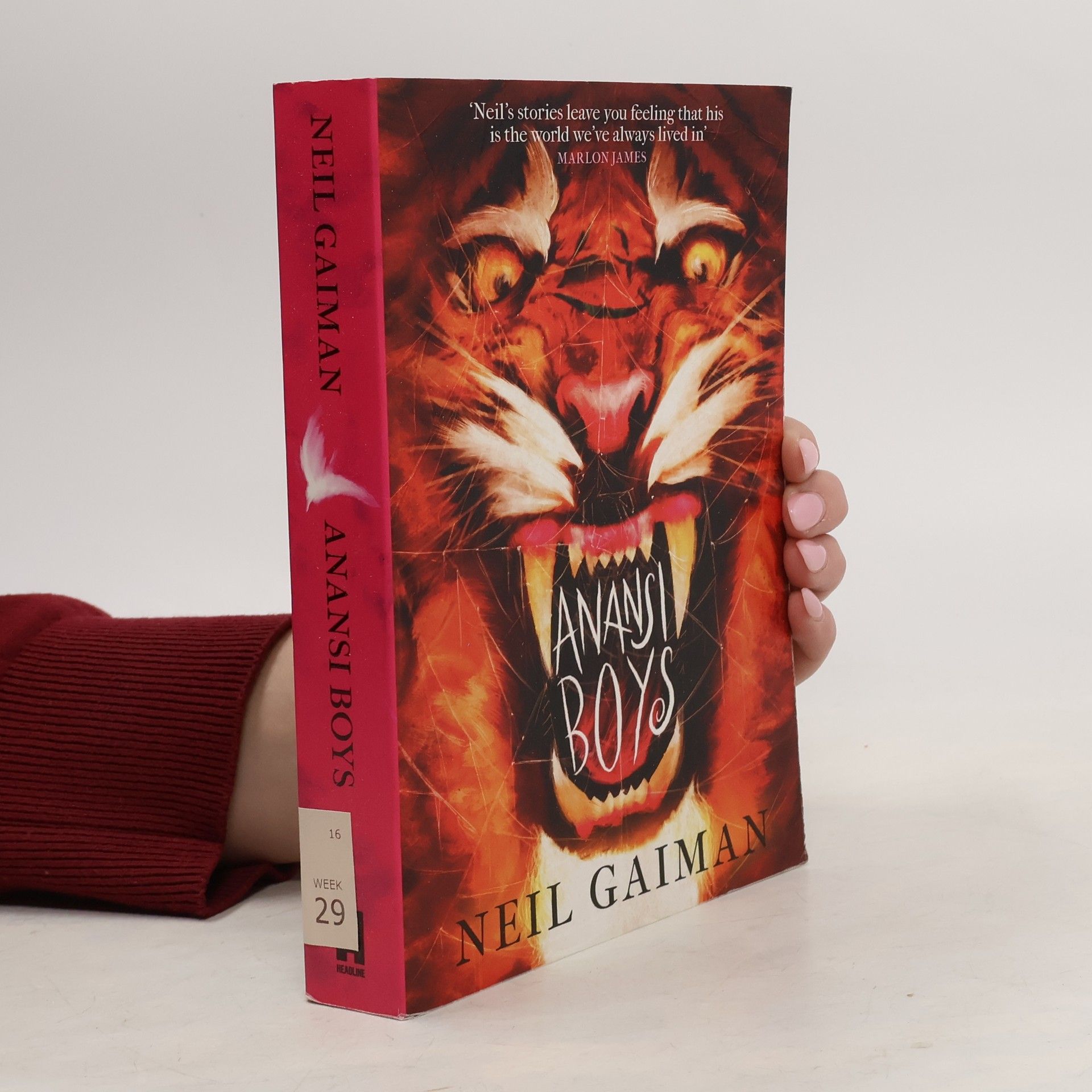 Neil Gaiman Anansi Boys