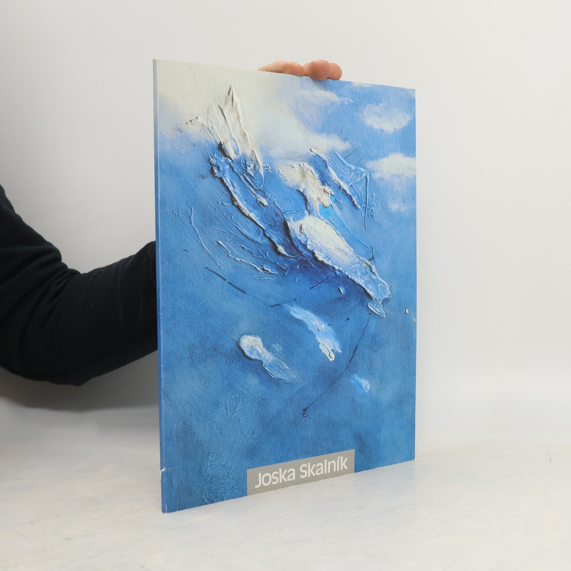 Joska Skalník. Historická malba v Čechách