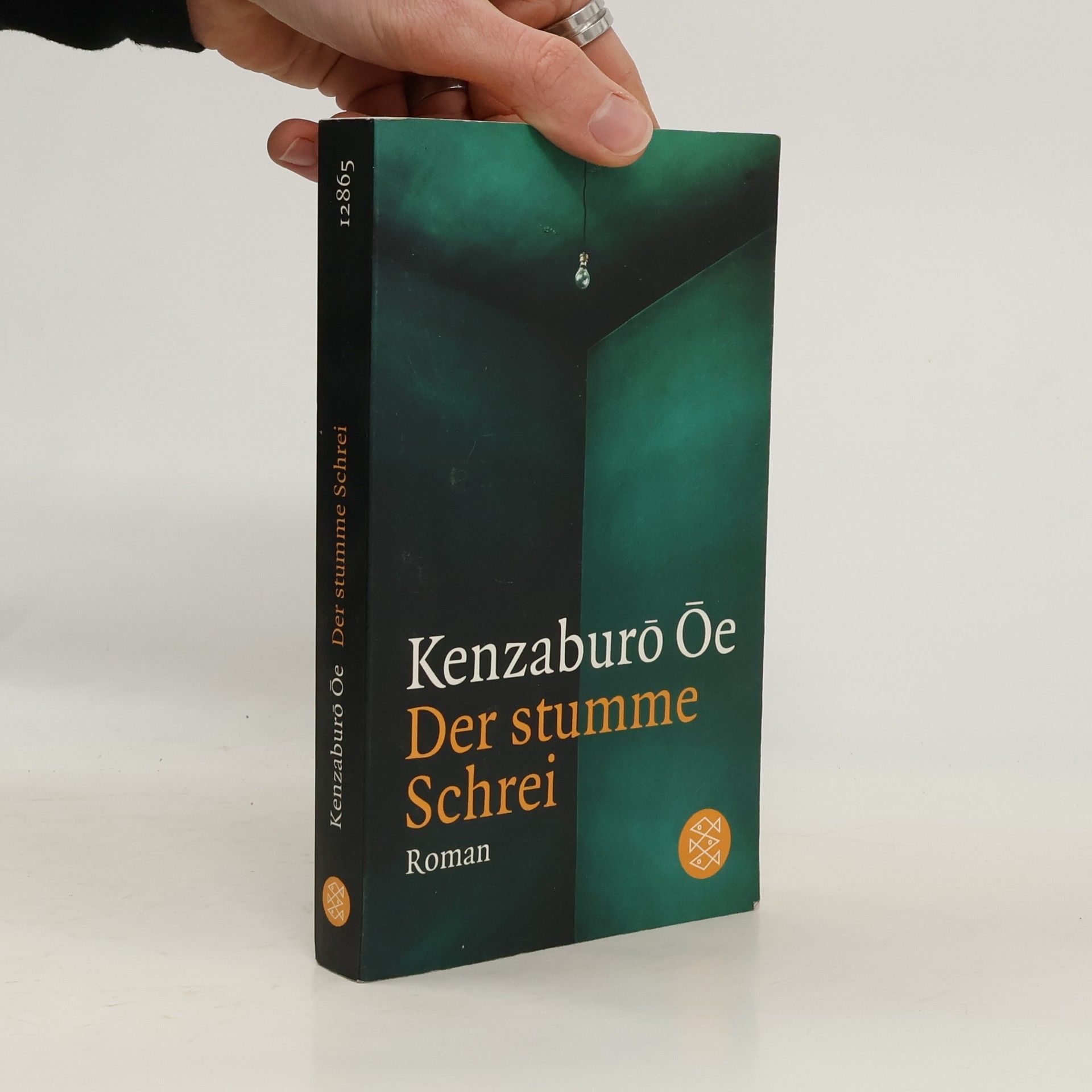 Kenzaburó Óe Der stumme Schrei