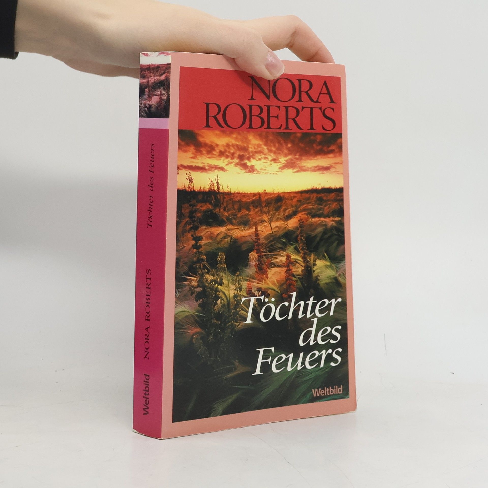 Nora Roberts Töchter des Feuers