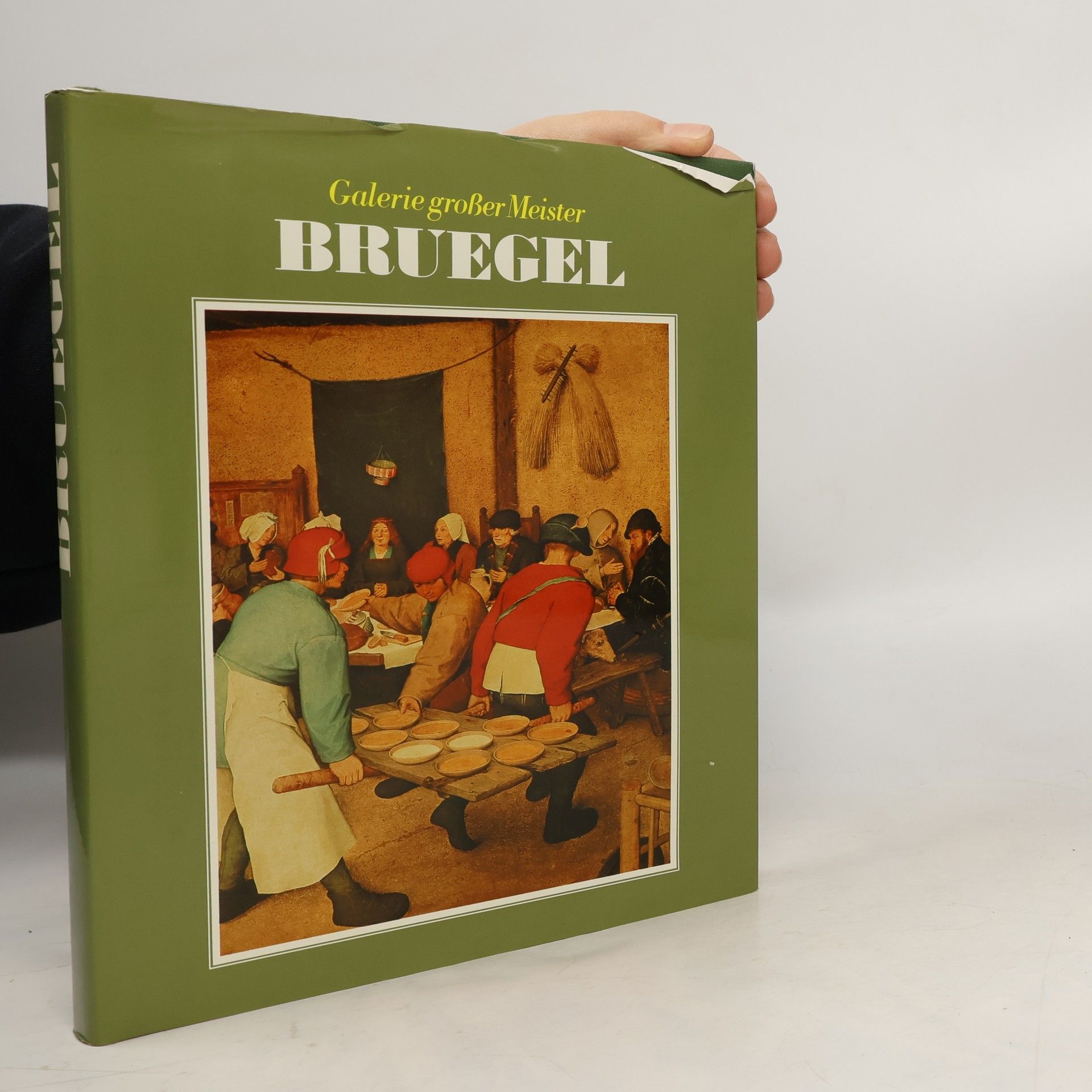 Collectif d'auteurs Bruegel. Galerie grosser Meister