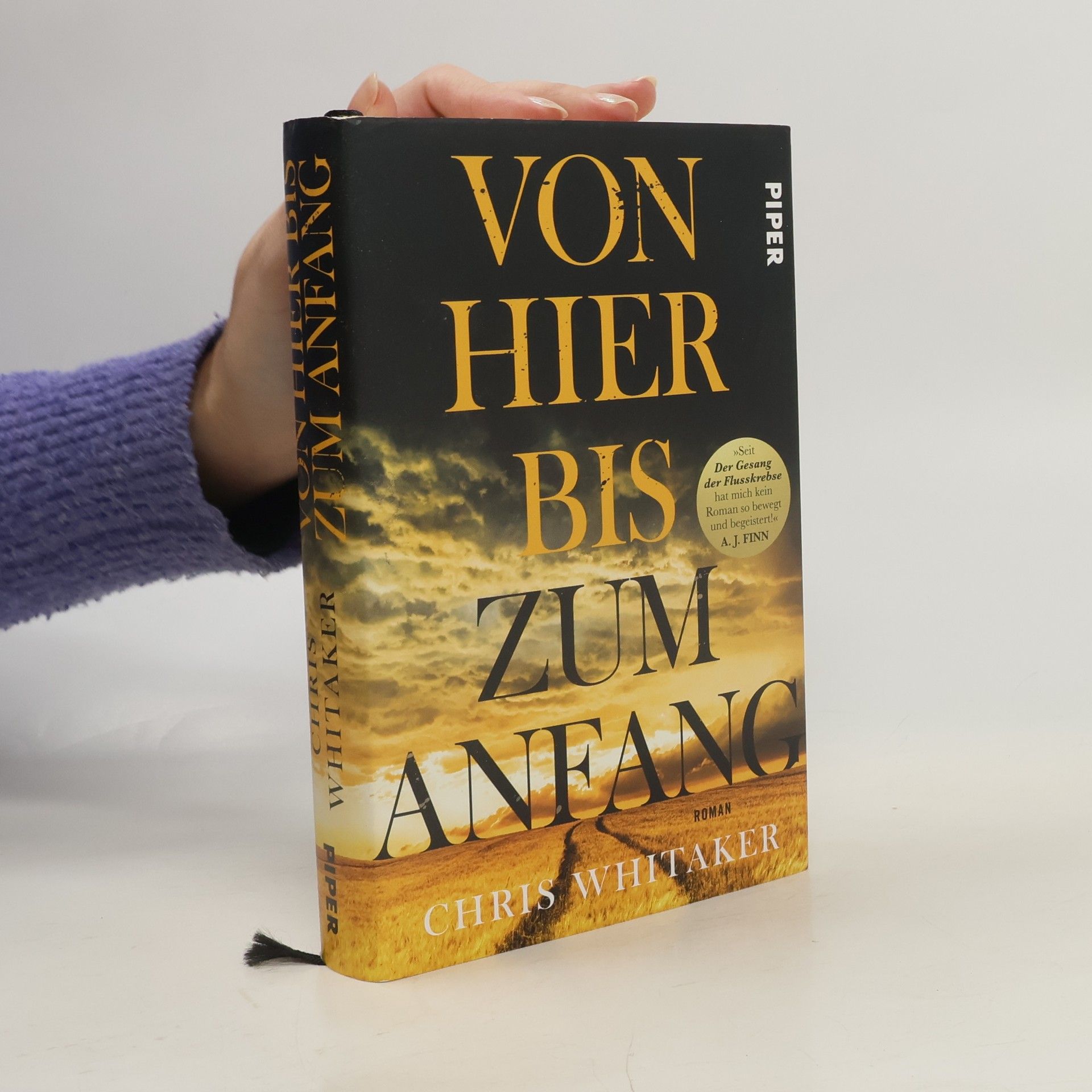 Chris Whitaker Von hier bis zum anfang