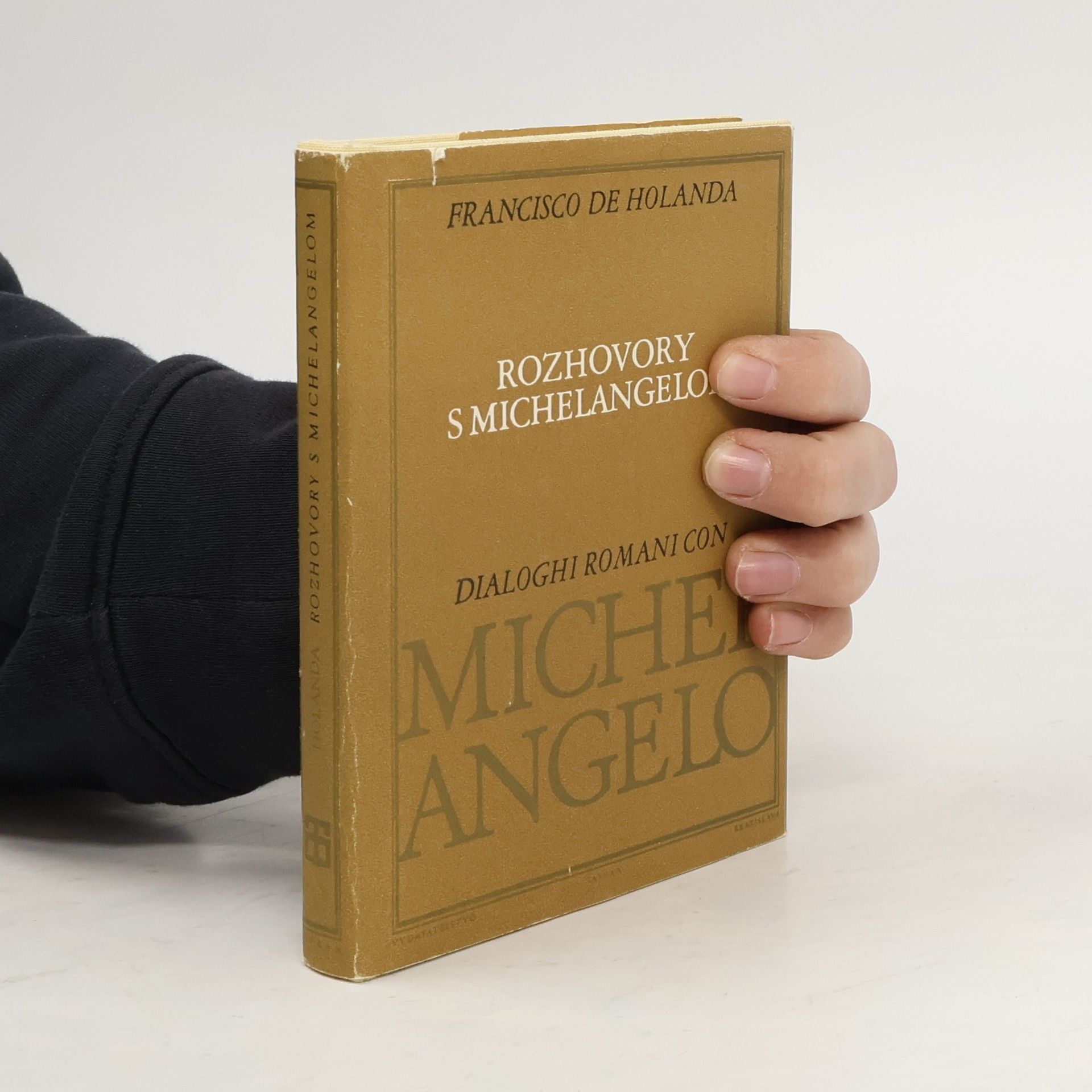 Rozhovory s Michelangelom