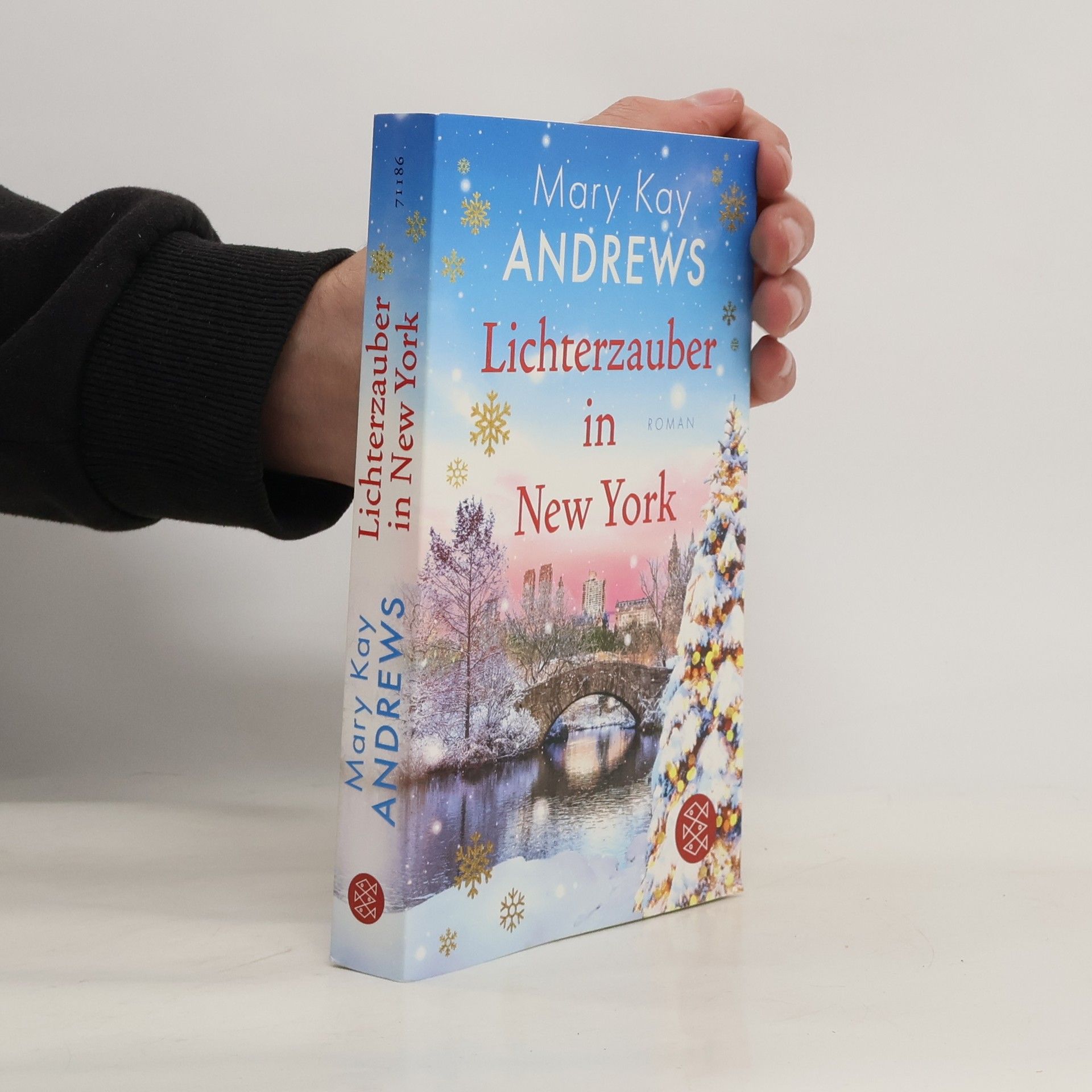 Lichterzauber in New York