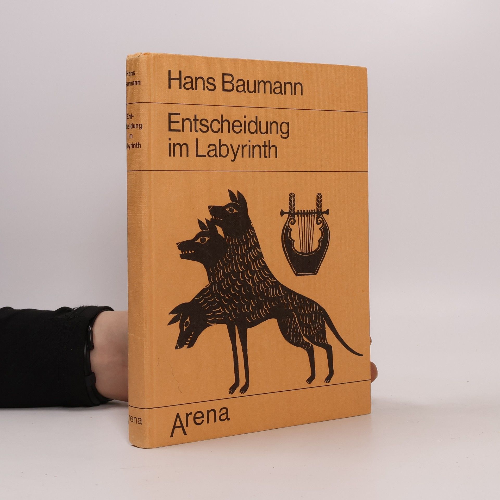 Hans Baumann Entscheidung im Labyrinth