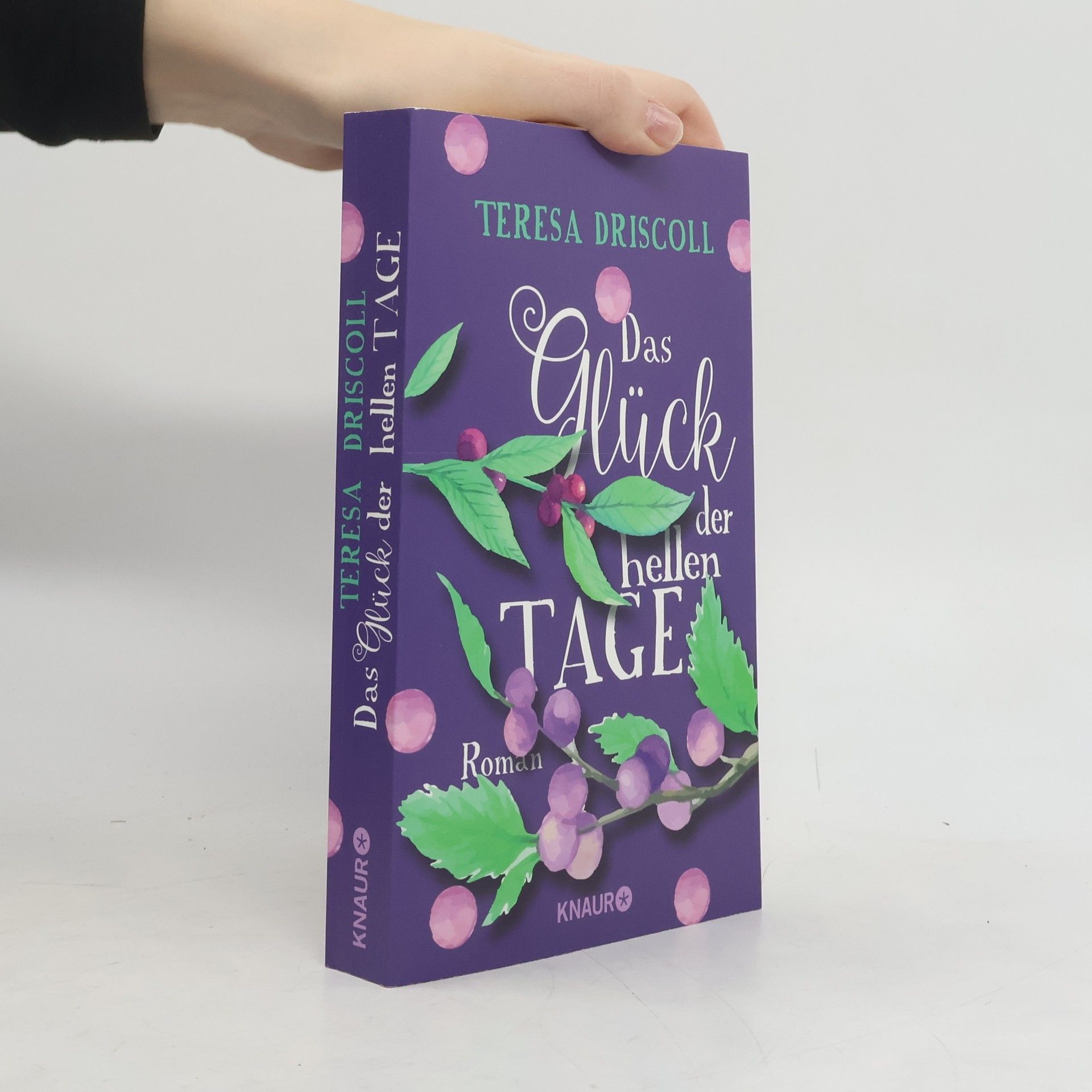 Das Glück der hellen Tage