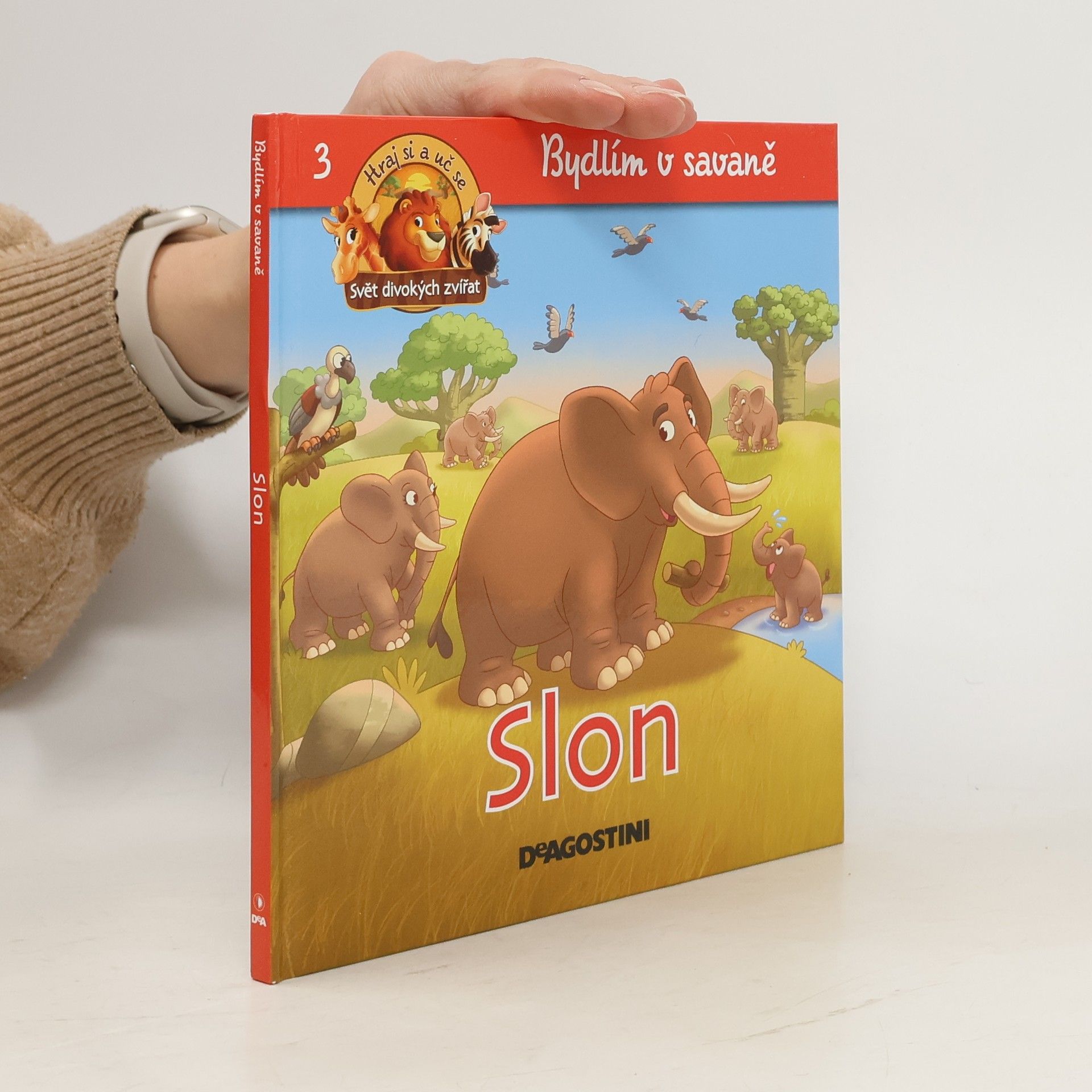Kolektiv autorů Bydlím v savaně 3. Slon
