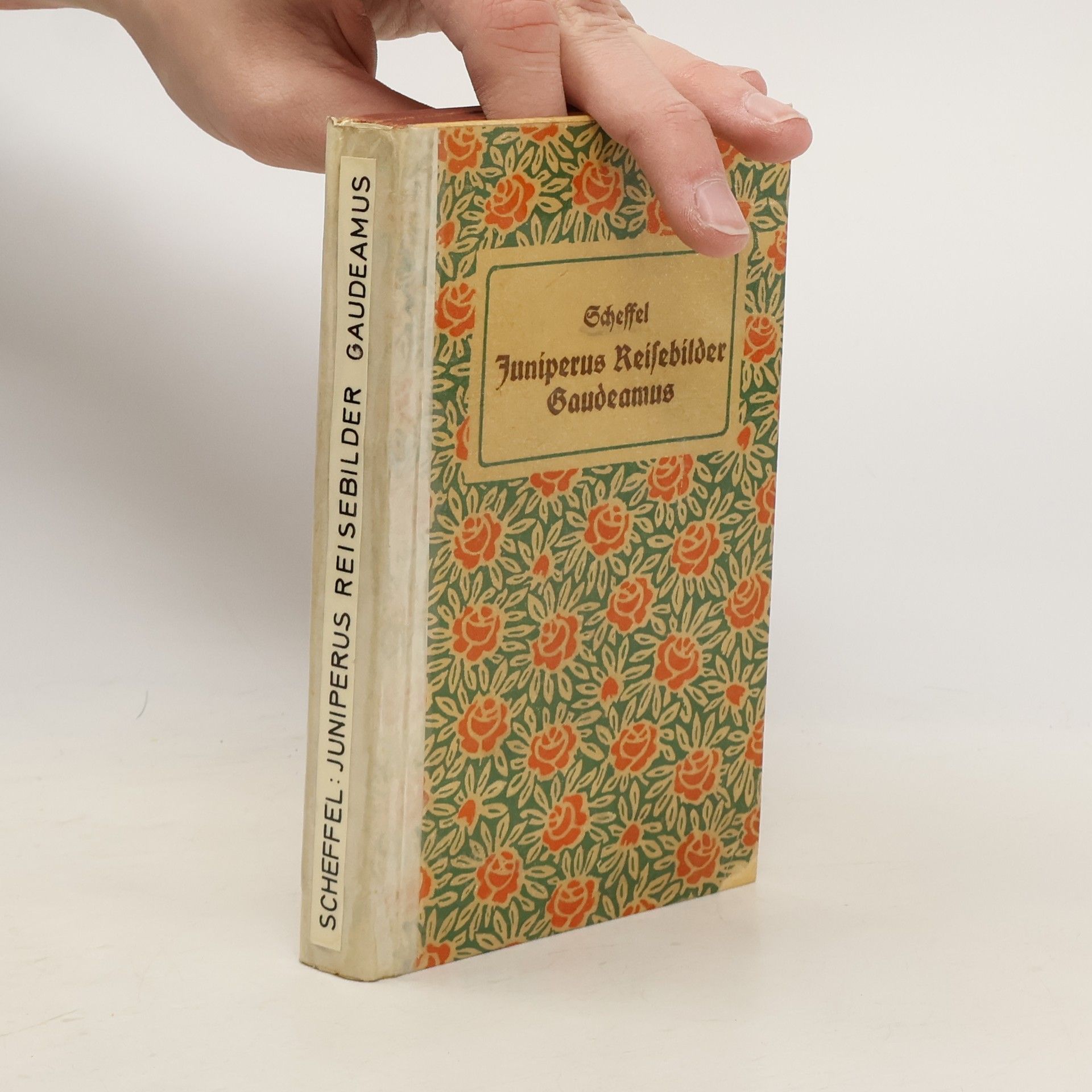 Joseph Victor von Scheffel Juniperus Reisebilder Gaudeamus