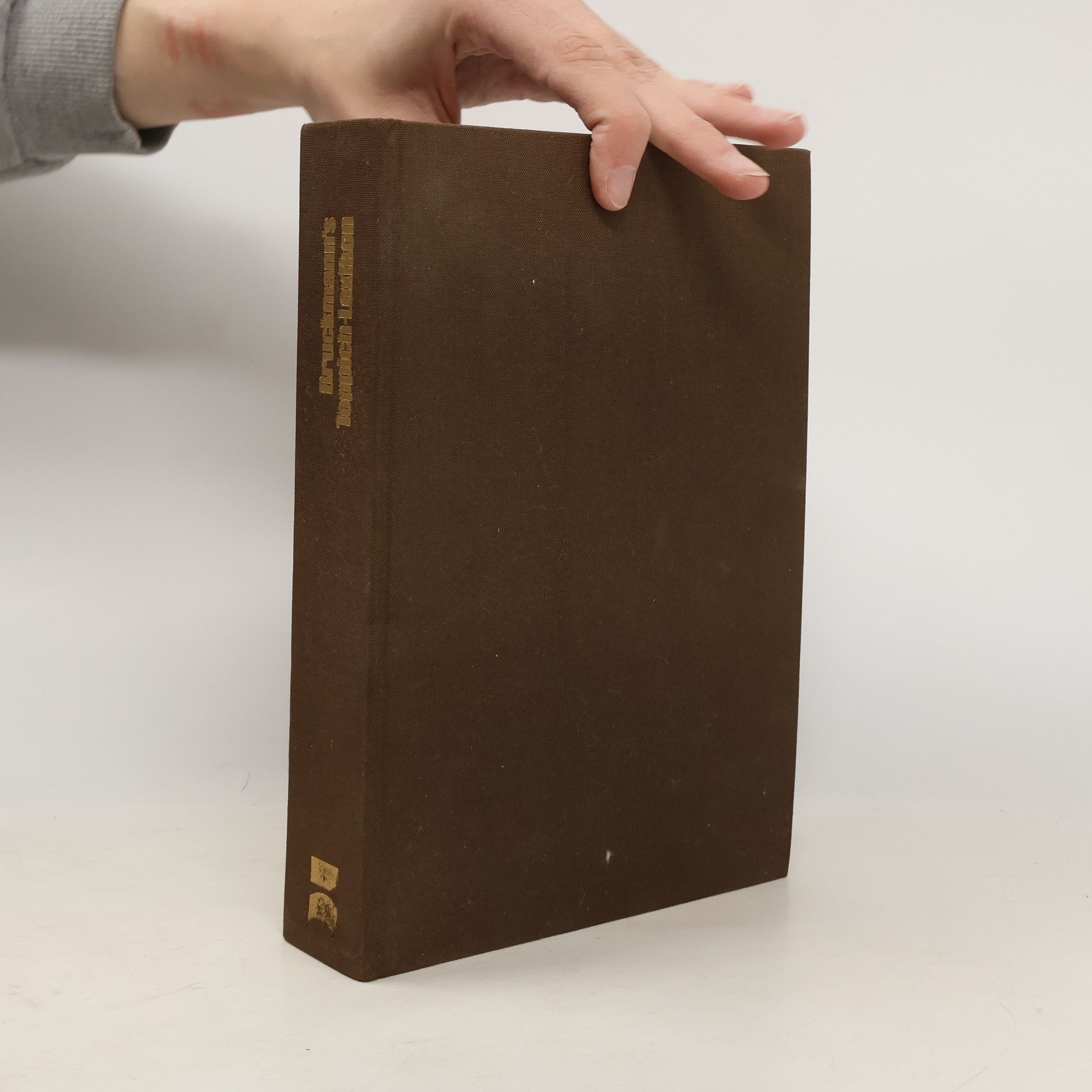 Bruckmann's Teppich-Lexikon