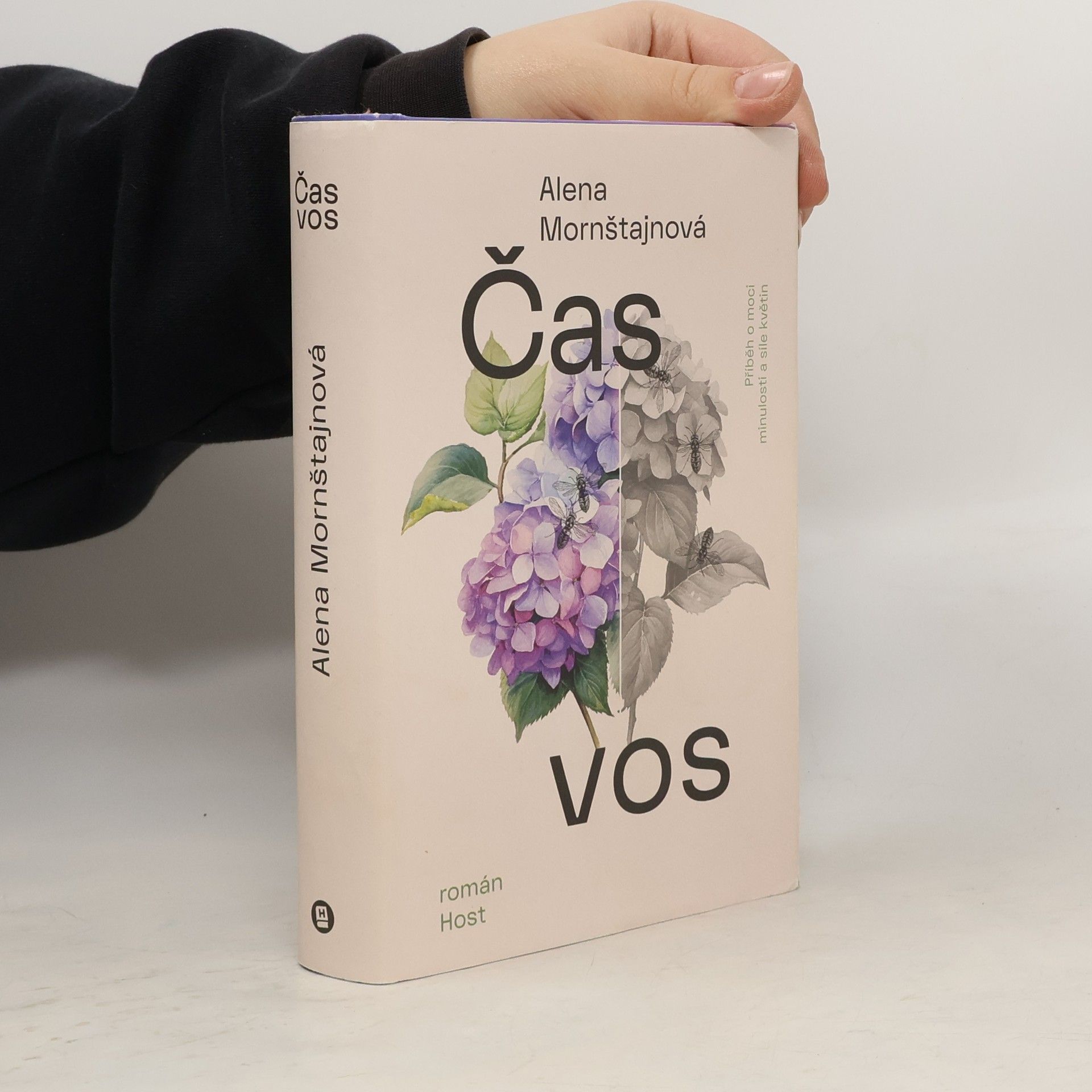 Alena Mornštajnová Čas vos