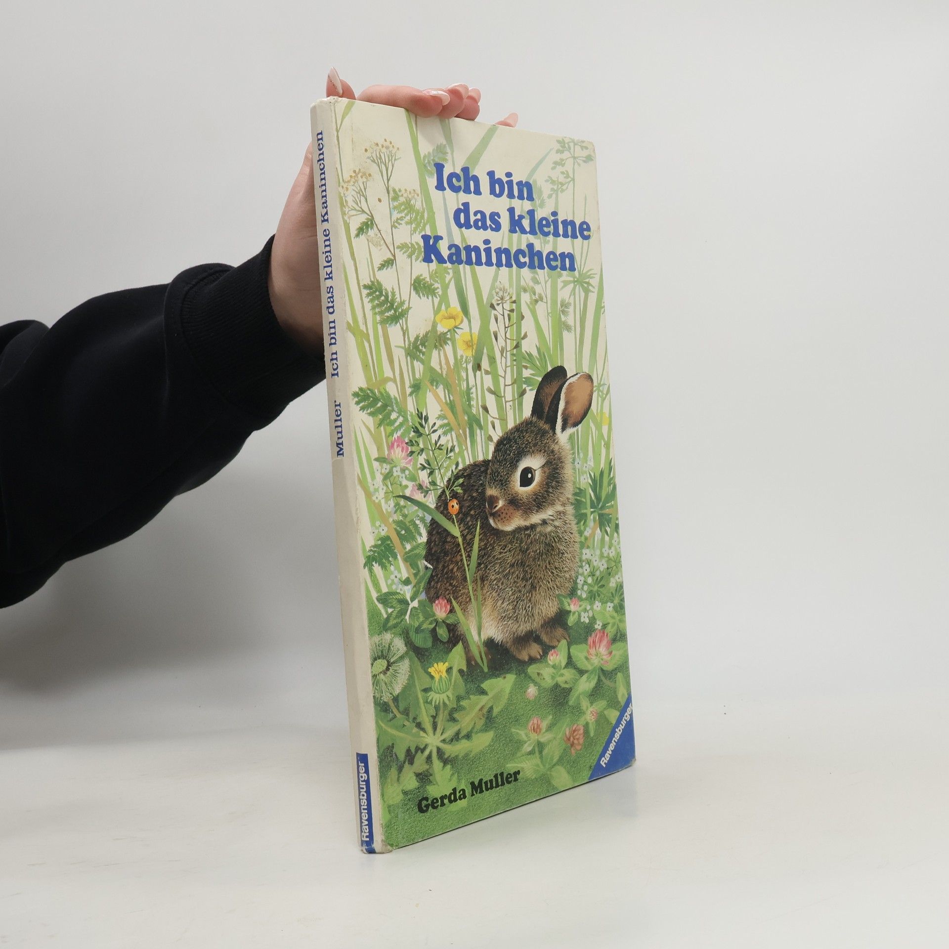 Gerda Muller Ich bin das kleine Kaninchen