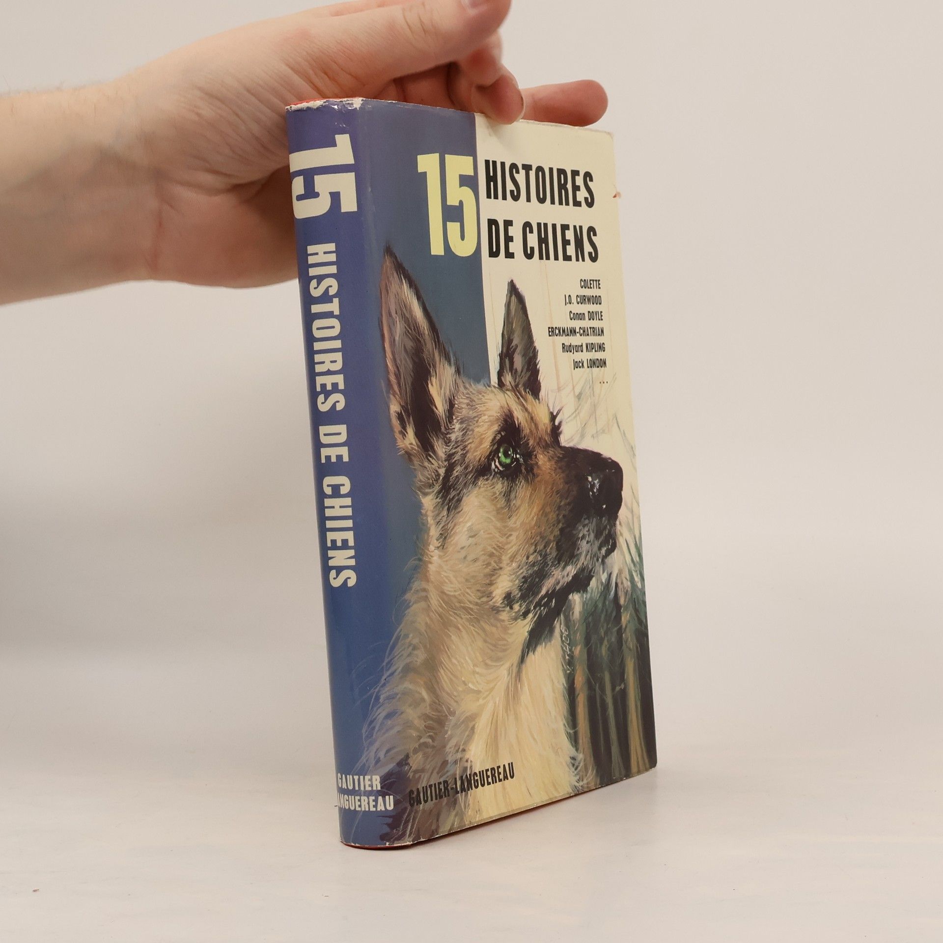 Collectif d'auteurs 15 histoires de chiens
