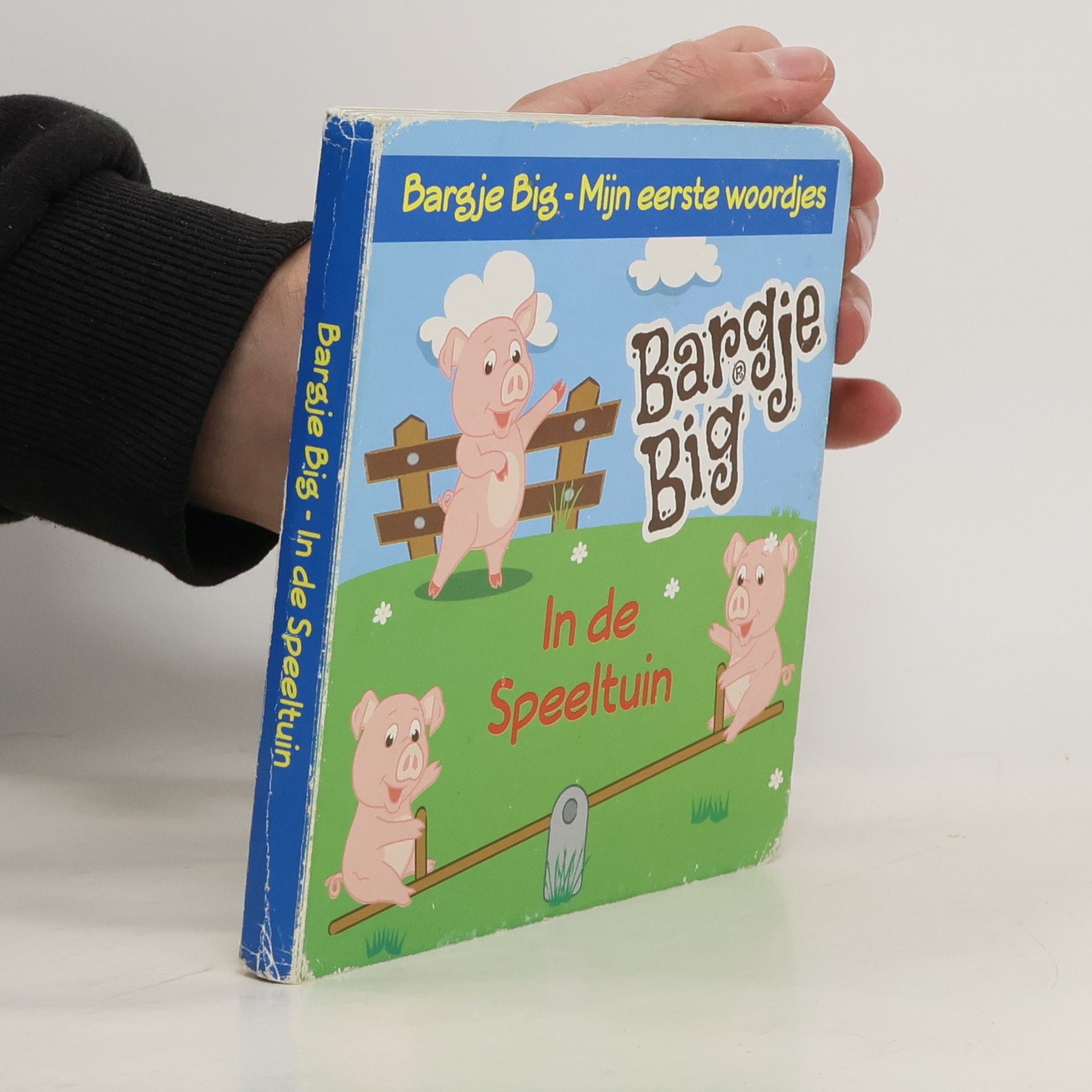 Autorenkollektiv Bargje Big. In de Speeltuin