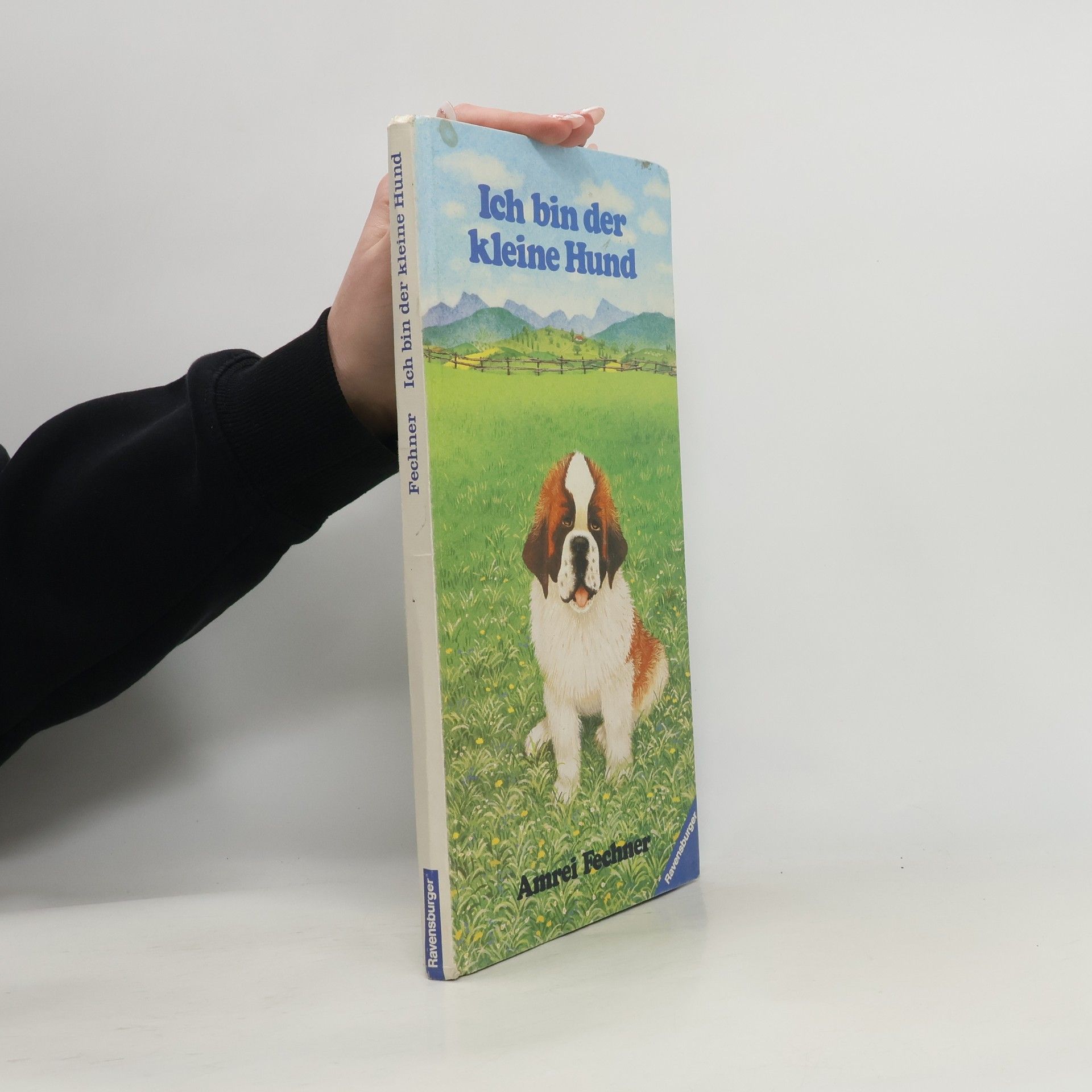 Amrei Fechner Ich bin der kleine Hund