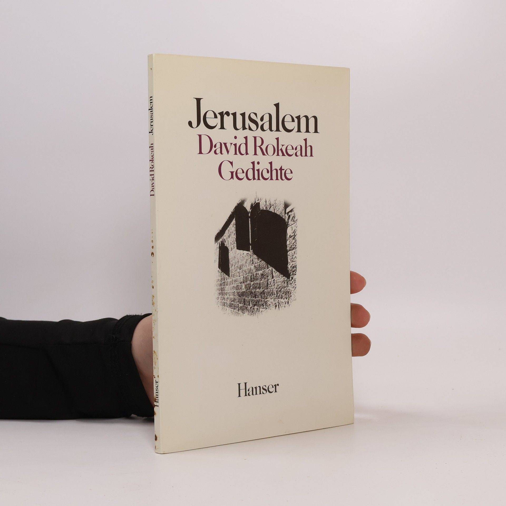 Jerusalem. Gedichte