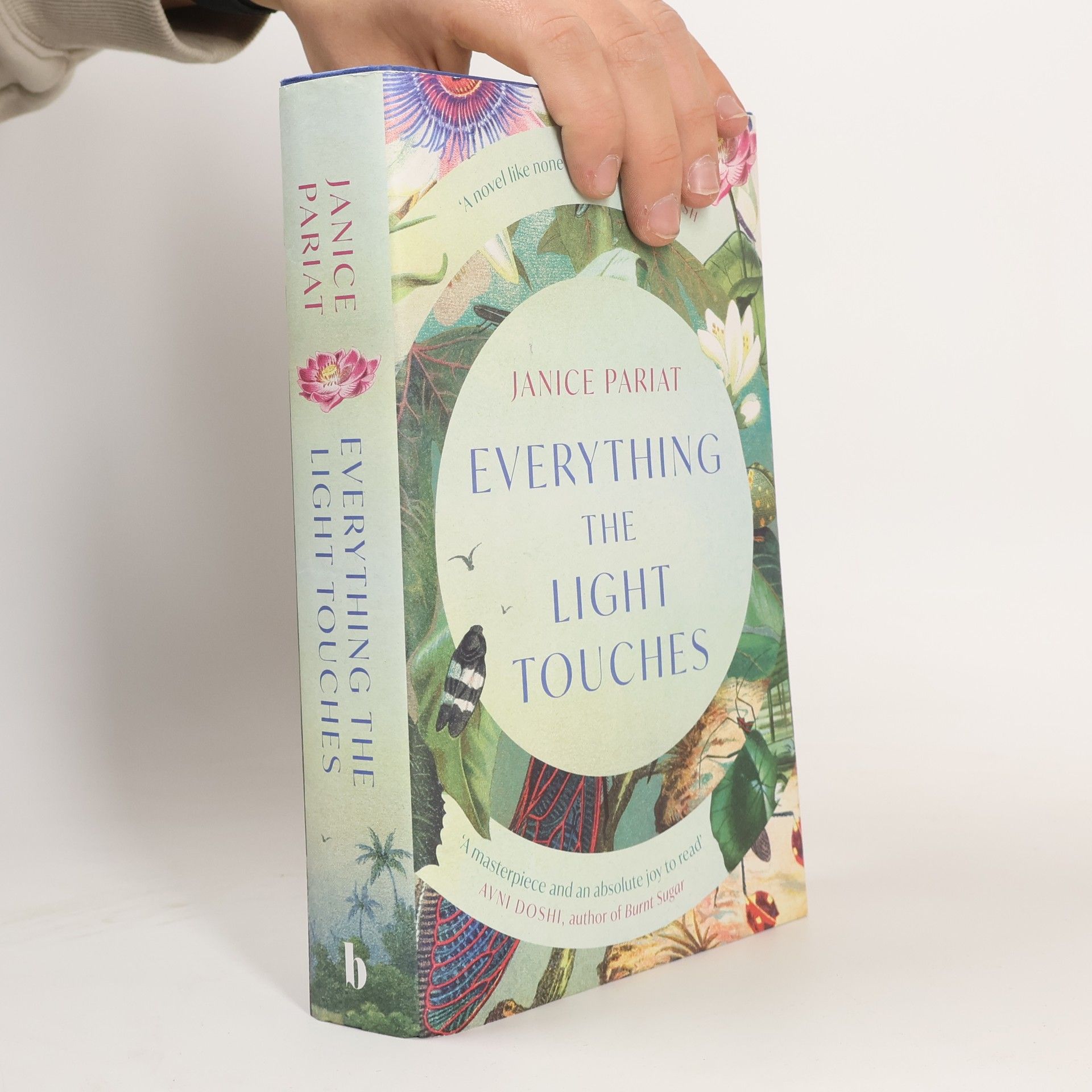 Everything the Light Touches